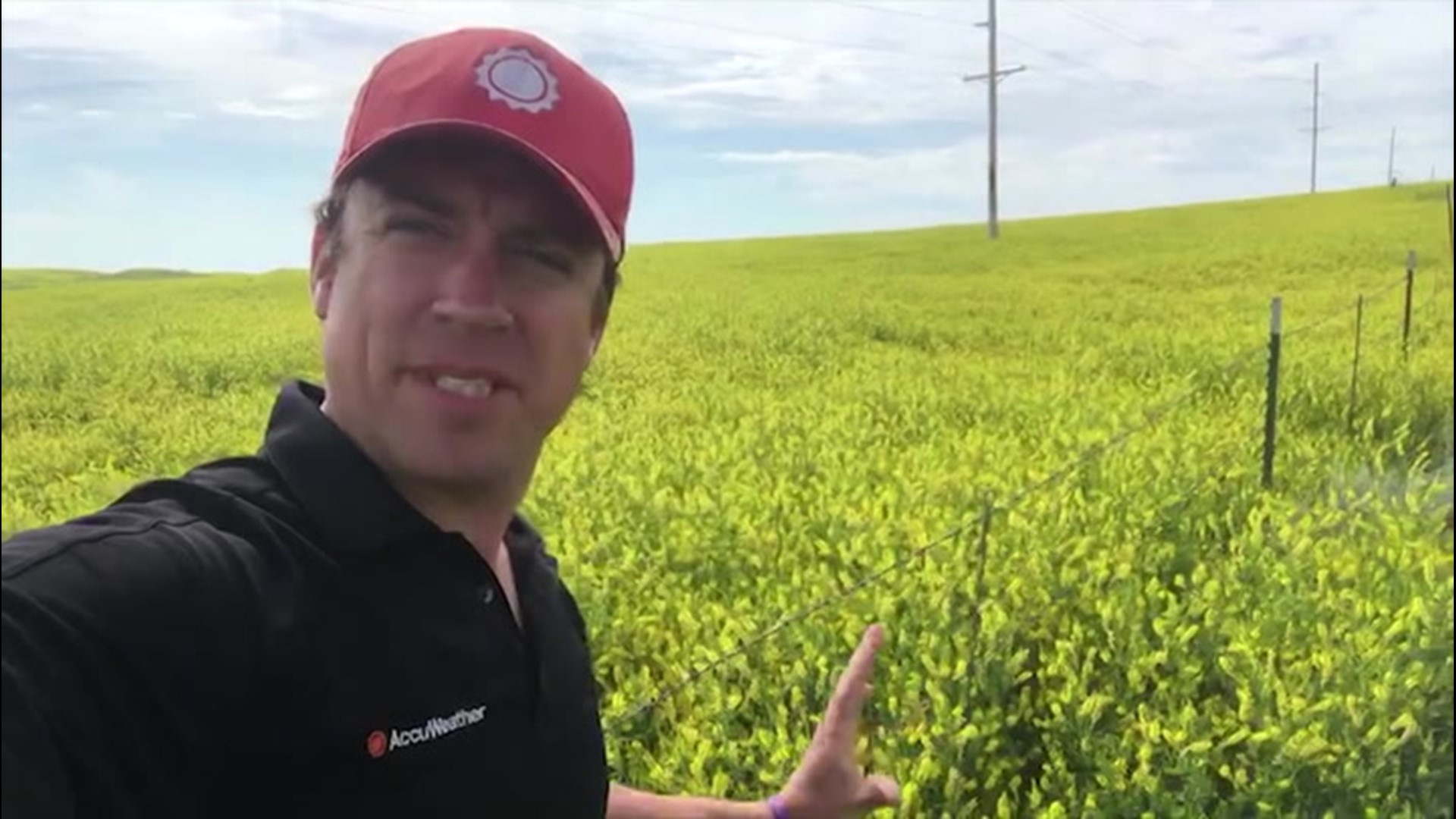 Storm chaser Reed Timmer is in Lodge Pole, Montana enjoying an open field of flowers in the calm before the storm on June 27.  Although the weather is calm, the area will be expecting severe storms to roll through later this week.