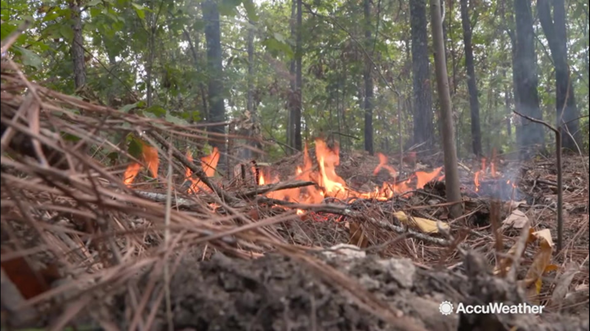 Northern Georgia have been experiencing severe droughts, which have elevated the risk of wildfires.  People were reminded to be careful with both campfires and debris burning. Currently all debris burning must be approved by the state forest service.