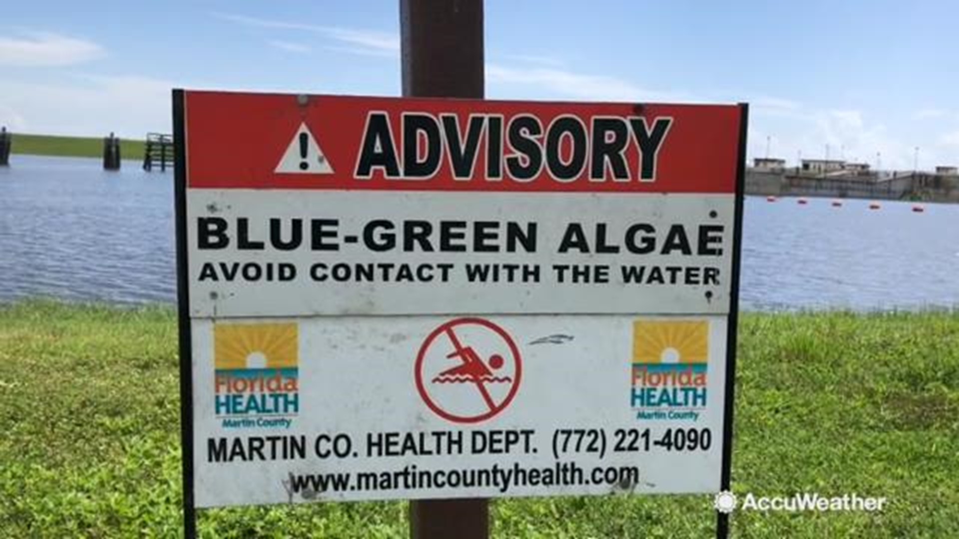 The thick algae on Lake Okeechobee has caused a State of Emergency, keeping the water behind the flood gates and stopping the spread down the rivers and eventually the coast.