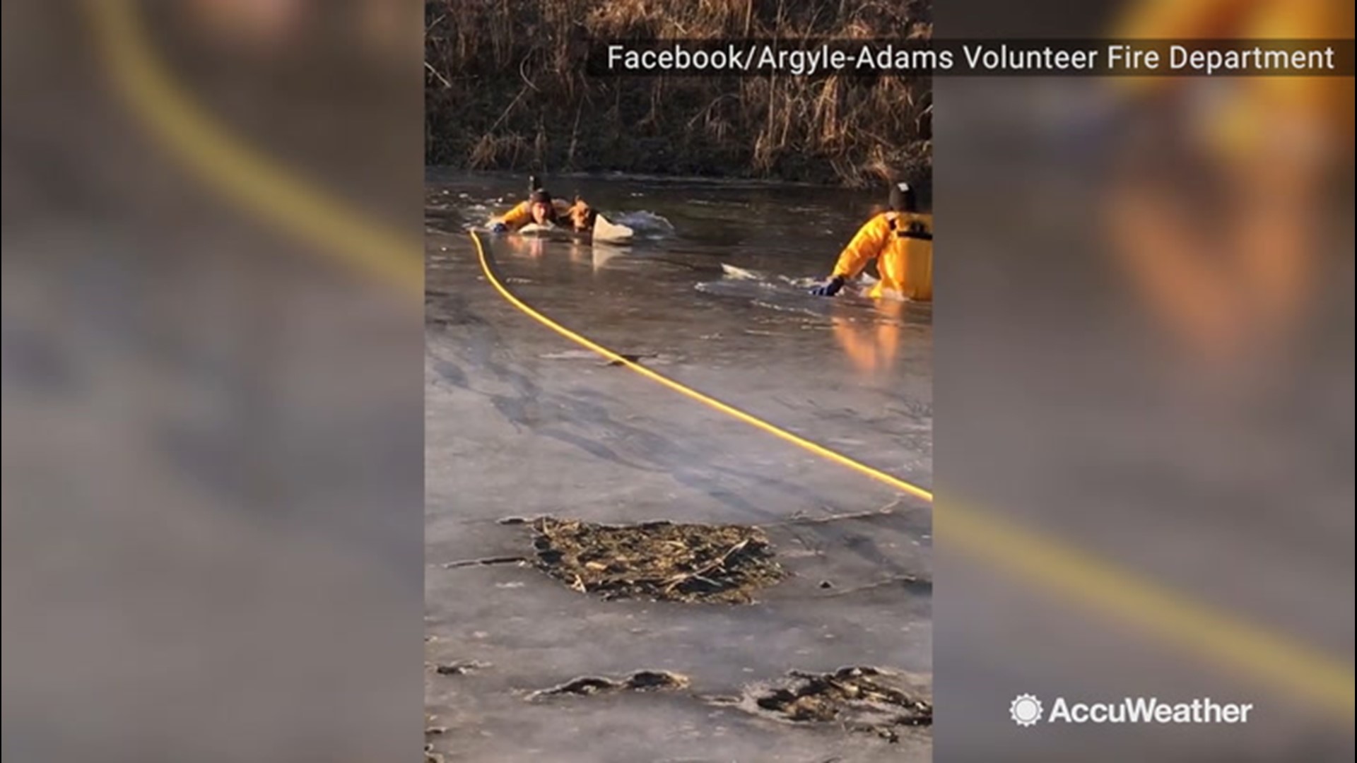 On Saturday, Dec. 21, rescue crews had to save an 8-month-old German Shepherd that fell through an icy pond after it escaped from its owner's backyard in Argyle, Wisconsin.