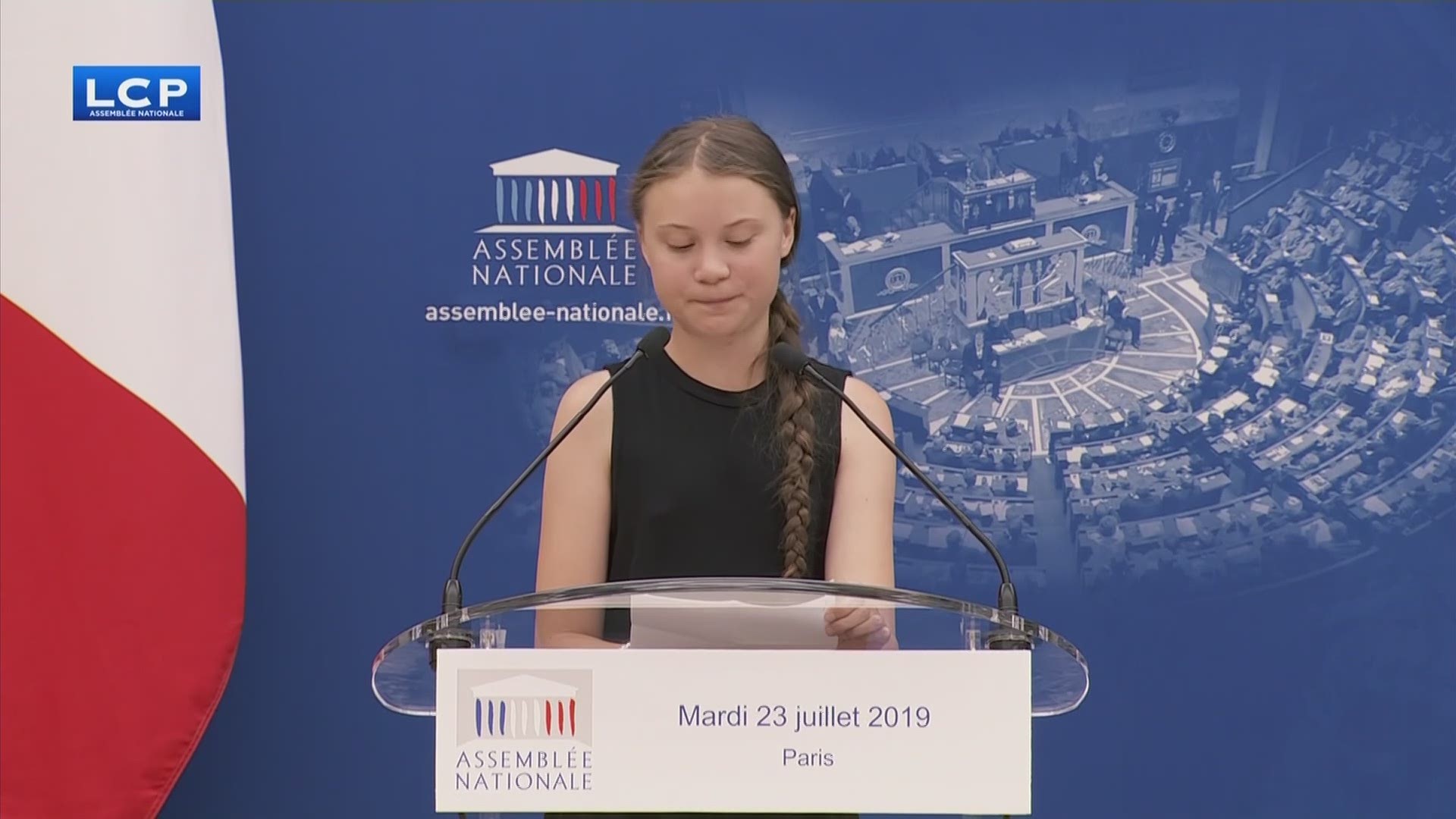 Swedish climate activist Greta Thunberg told the National Assembly in Paris that the world was dangerously close to irreversible climate breakdown by 2030.