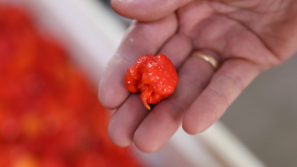 Pepper X named world's hottest pepper by Guinness World Records