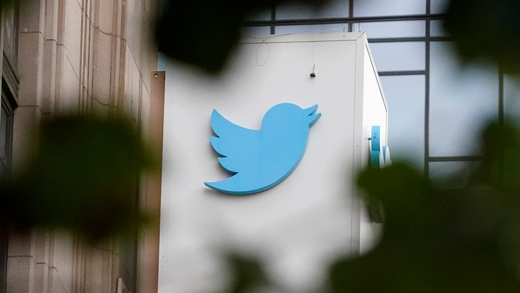 Twitter executive responsible for content safety resigns after Elon Musk criticism