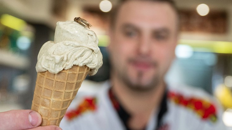'Surprising yummy taste': German ice cream shop offers cricket-flavored scoops