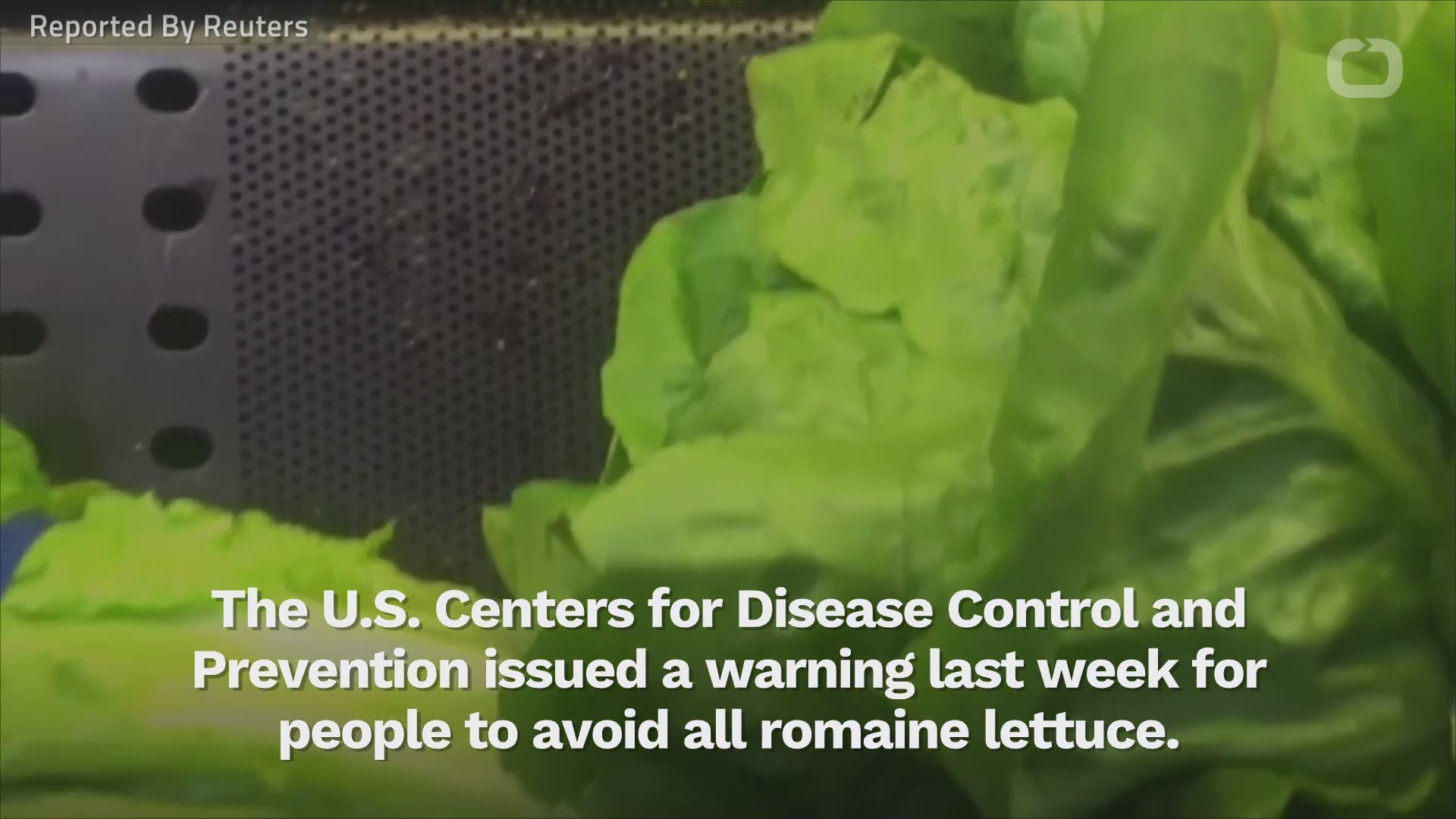 Experts find source of lettucelinked E. coli