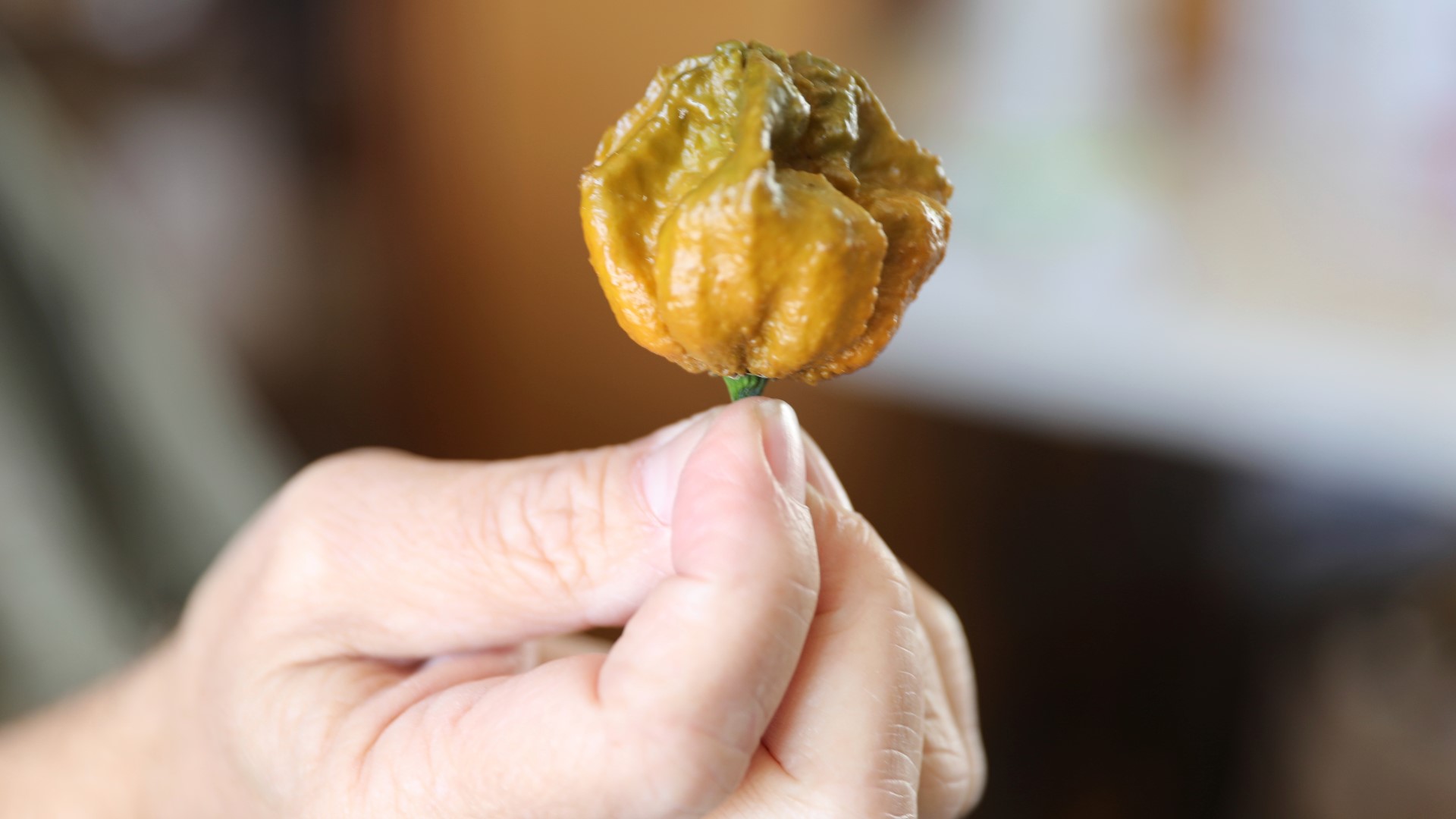 Pepper X named world's hottest pepper by Guinness World Records