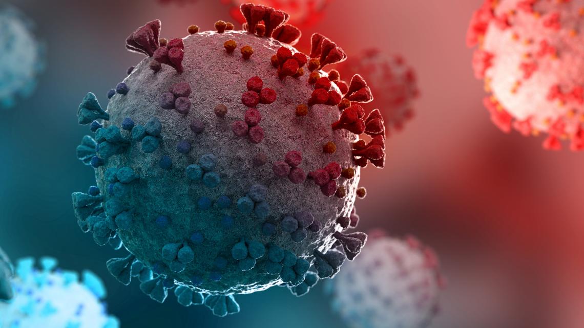 Central District Health de Idaho ofrece actualizaciones sobre la variante 'Cicada' del COVID