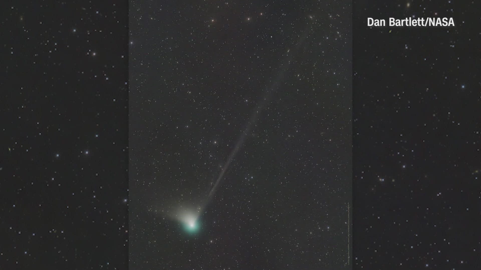 This newly discovered "icy visitor" is headed to a night sky near you.