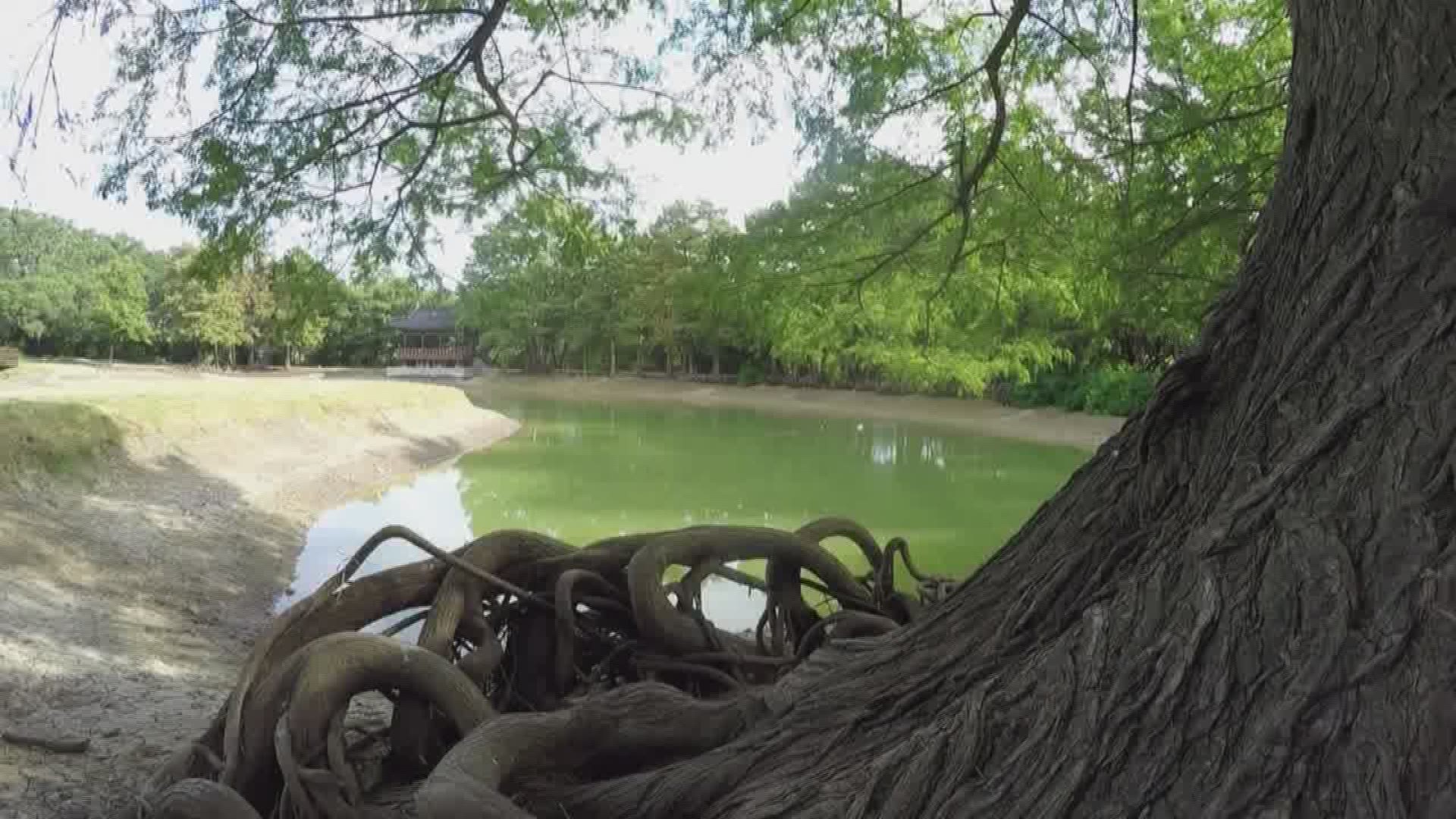 On San Antonio's northwest side is a park that is the perfect distance away from all the shops and businesses on busy Fredericksburg Rd. Denman Estate Park is a favorite for many locals for a lot of reasons.