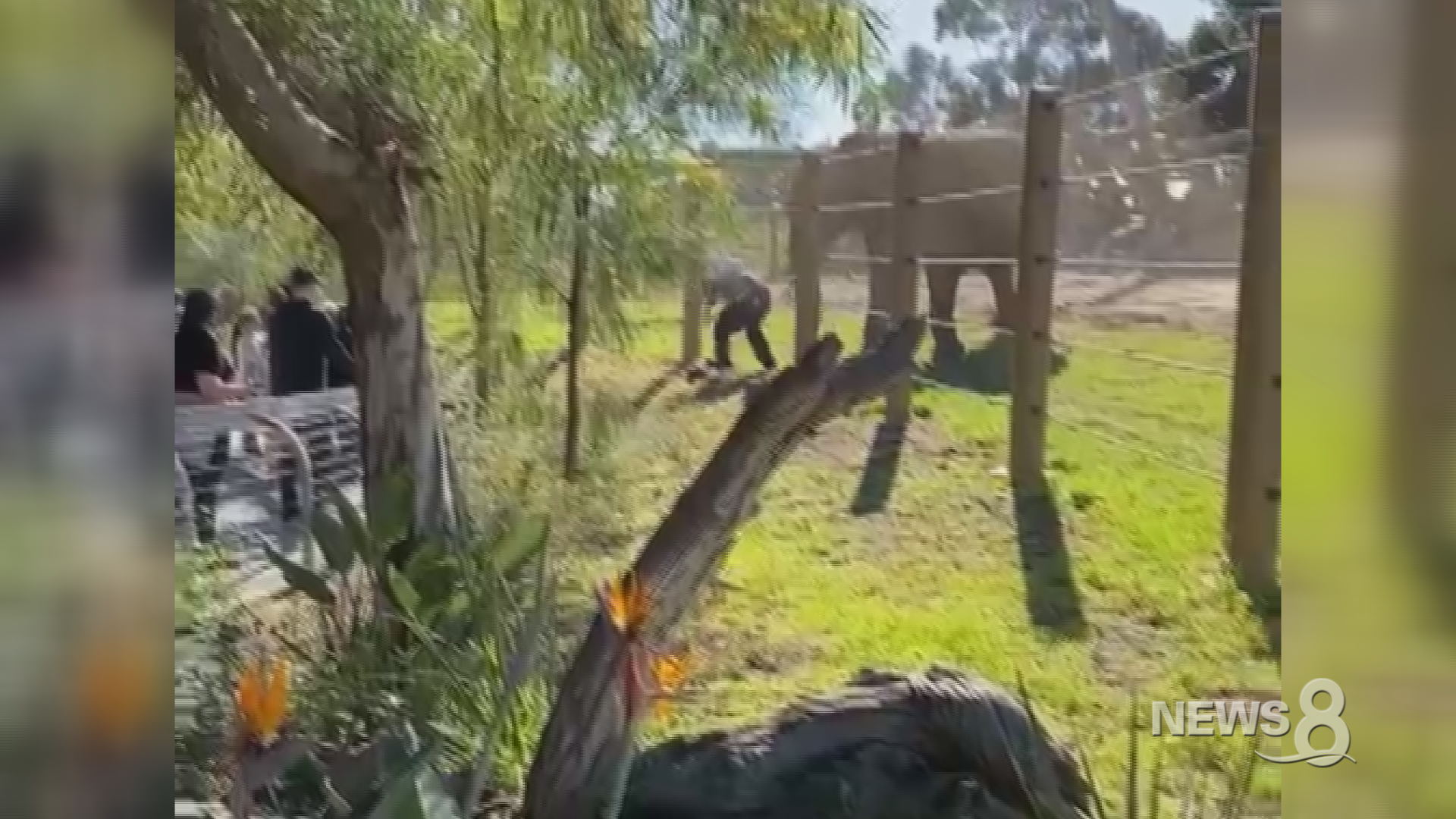 The 25-year-old father said he was trying to get a close-up picture with his daughter and an elephant.