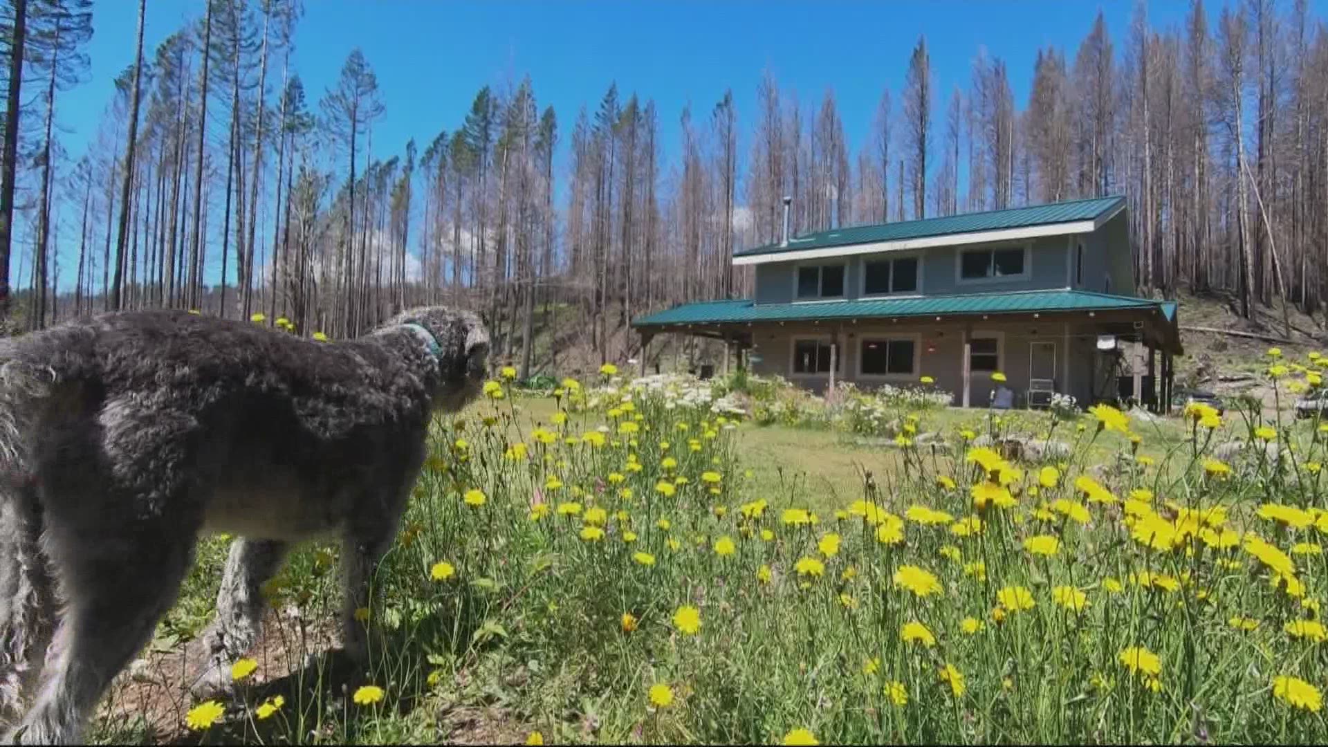 Many Oregonians continue to rebuild their homes after last year's wildfires. Christine Pitawanich spoke to one woman about how she kept her home safe.