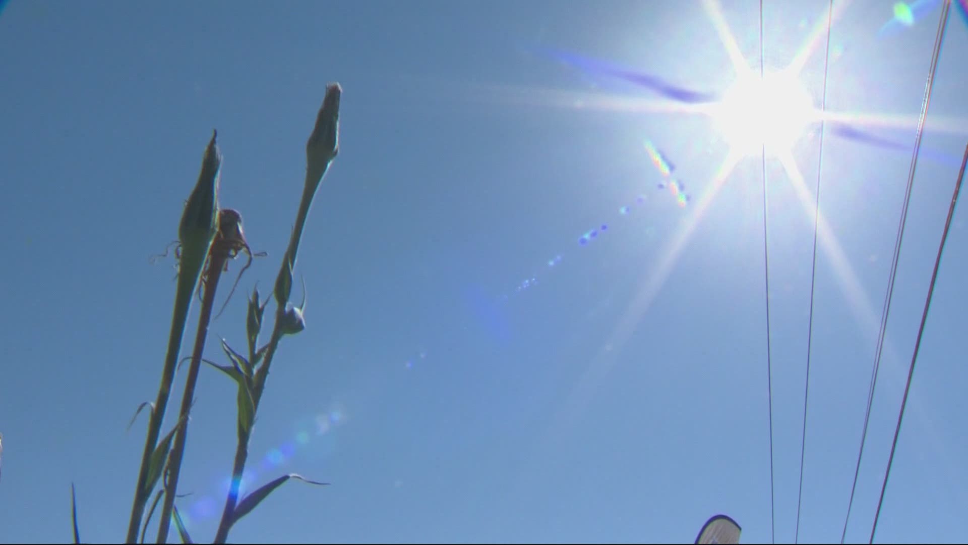 At least 63 people have died due to extreme heat in Oregon since a historic heat wave began last week, the Oregon State Medical Examiner's Office said June 30, 2021.