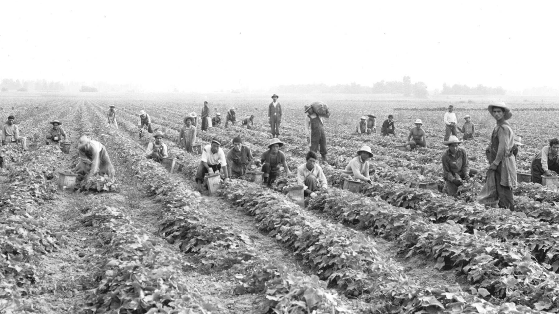 The history of braceros in Oregon | ktvb.com