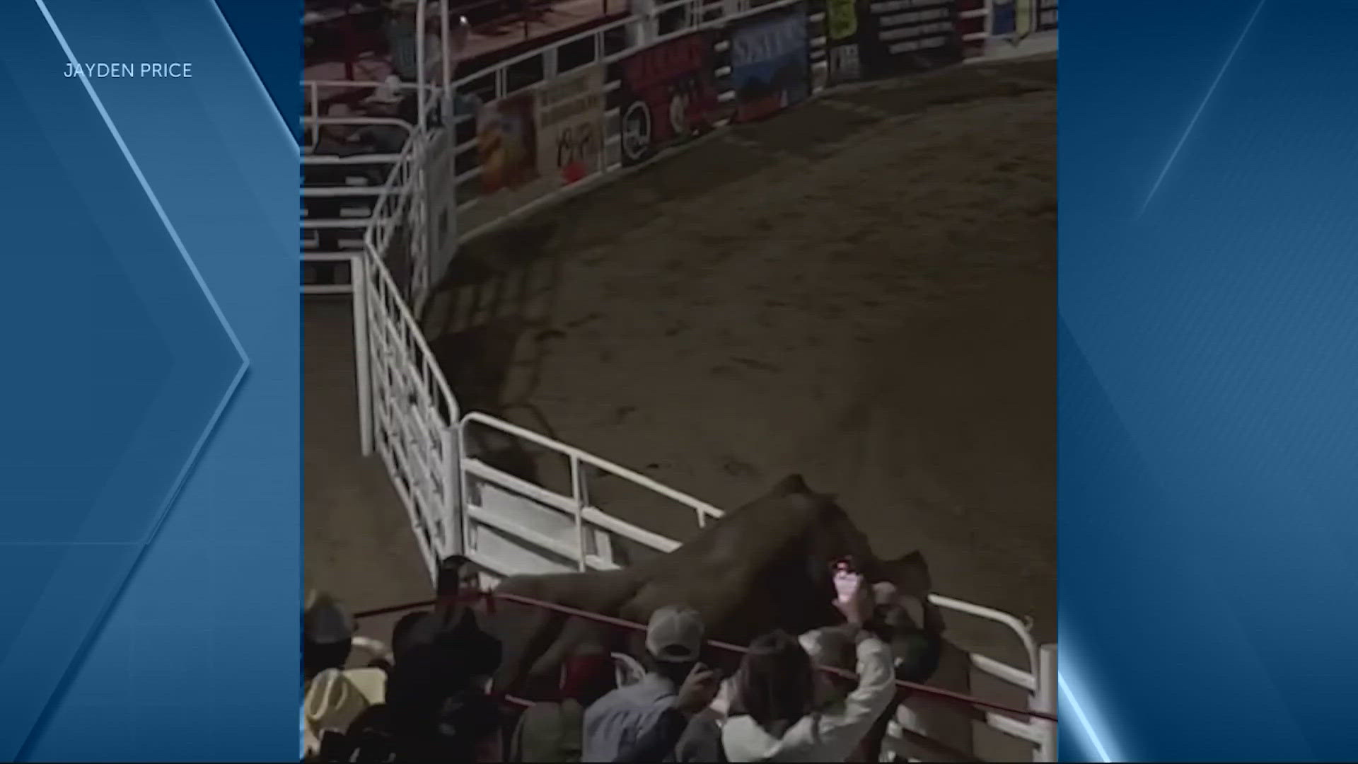A rodeo bull hopped a fence at the 84th Sisters Rodeo and ran through a concession area into a parking lot, injuring at least three folks before wranglers caught up.