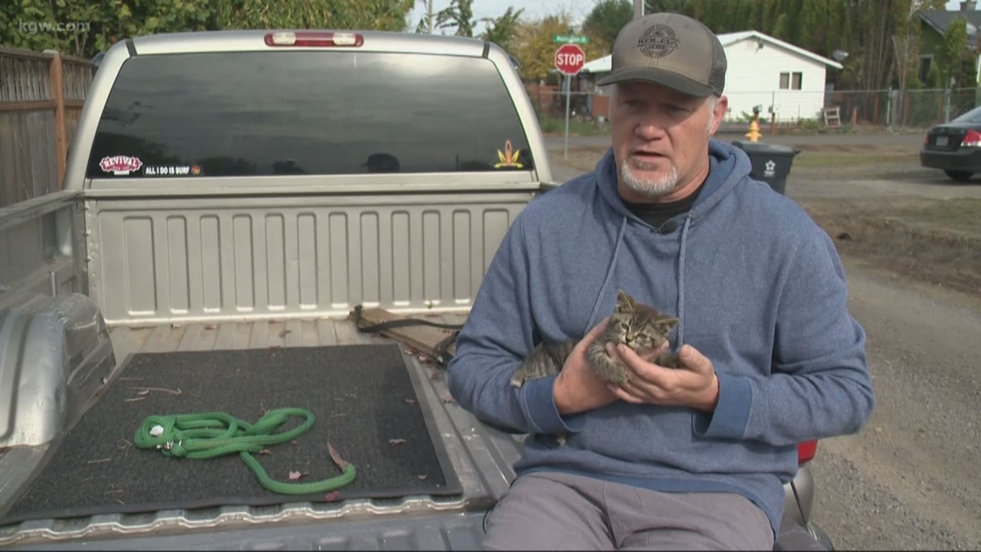 A man rescued a kitten that someone glued to a highway.