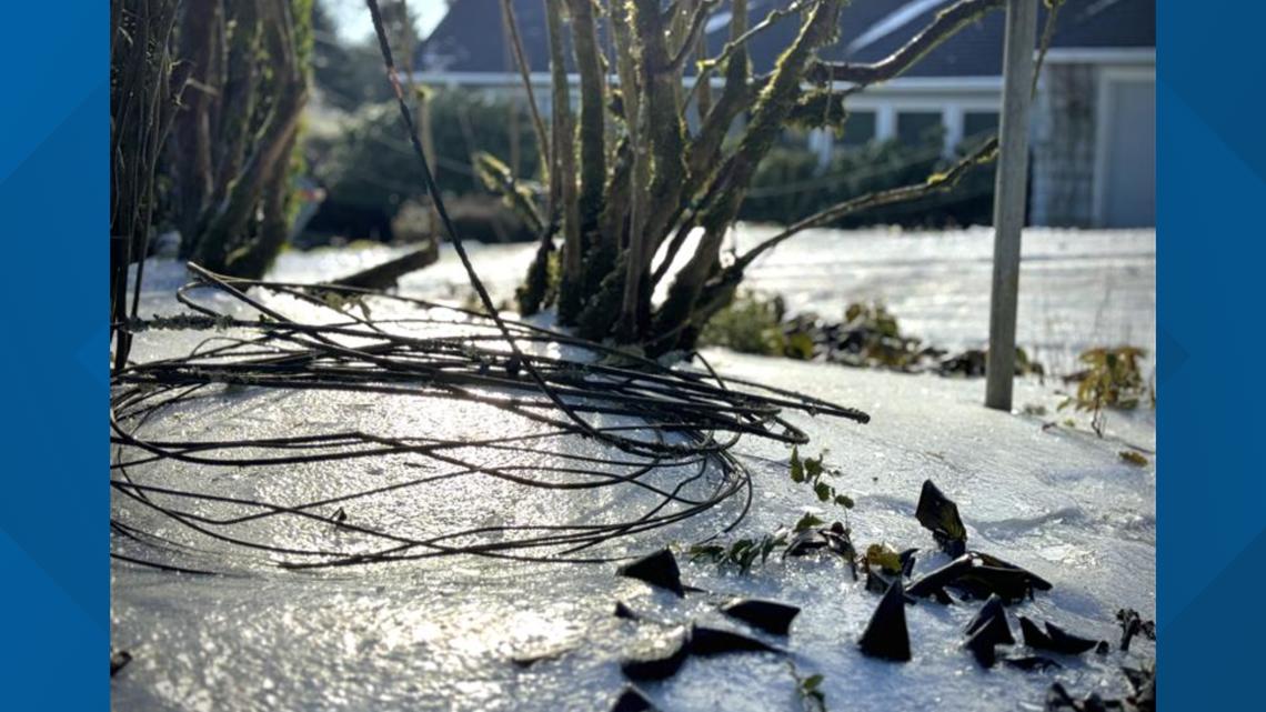 Portland families trapped inside homes after power lines fall - Vimarsana News