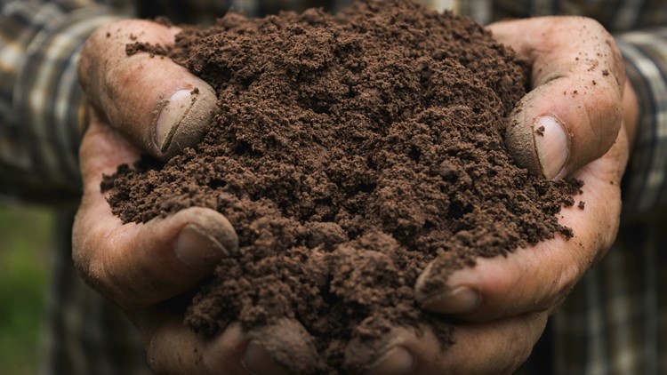 Oregon will allow for human composting as a final resting option