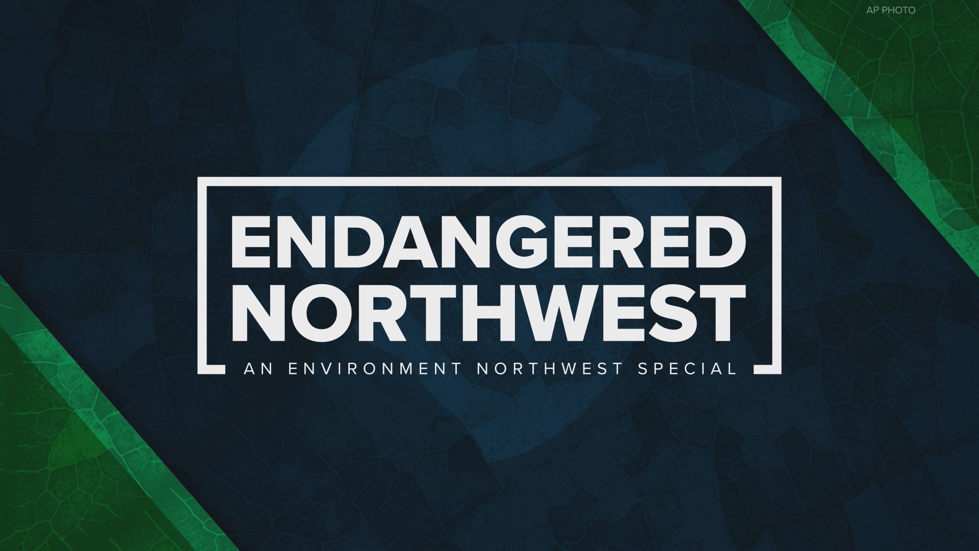 Fifty years after the Endangered Species Act was passed, has it succeeded in protecting our region's fish and wildlife?