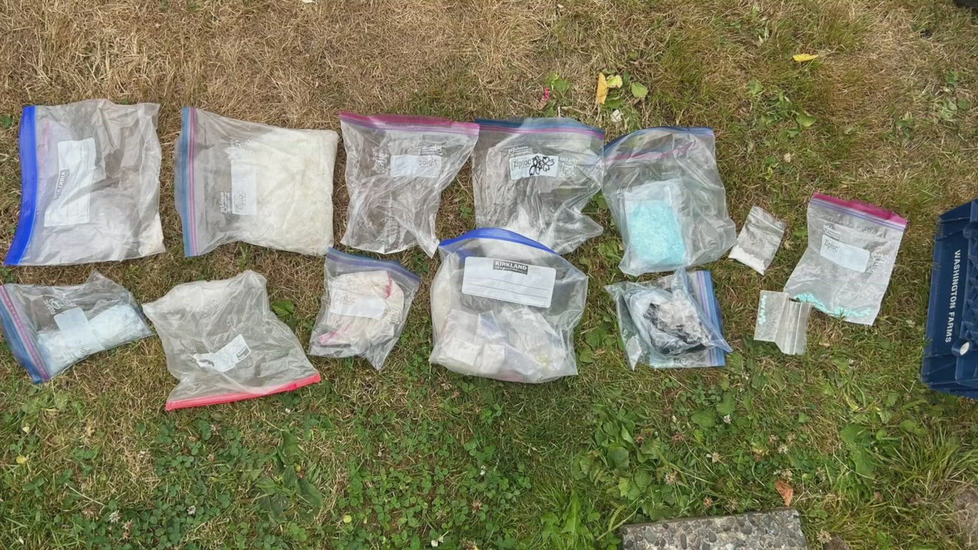 Investigators believe the ring is being run from Sinaloa, Mexico, by a pair of brothers.