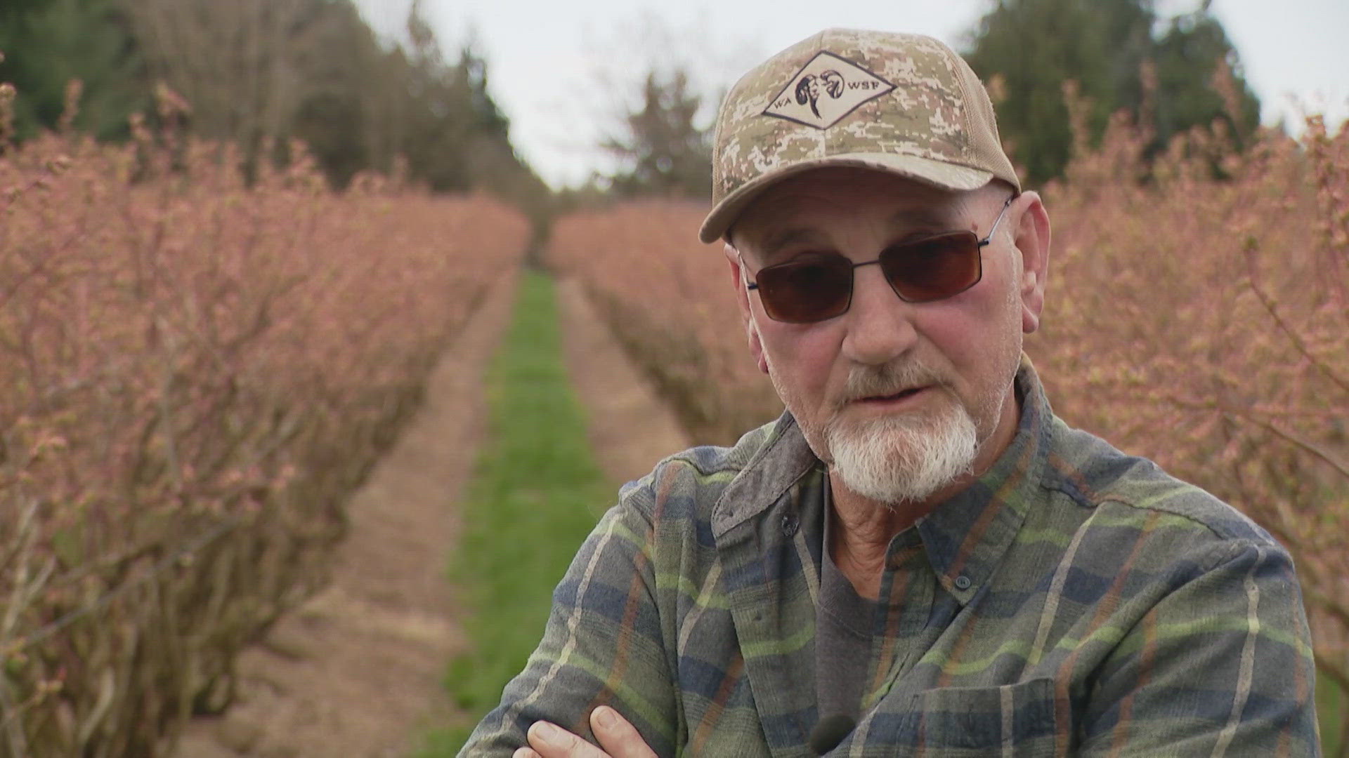 American Raid Rattle ICE raids rattle Washington farmers who backed Trump's immigration ...