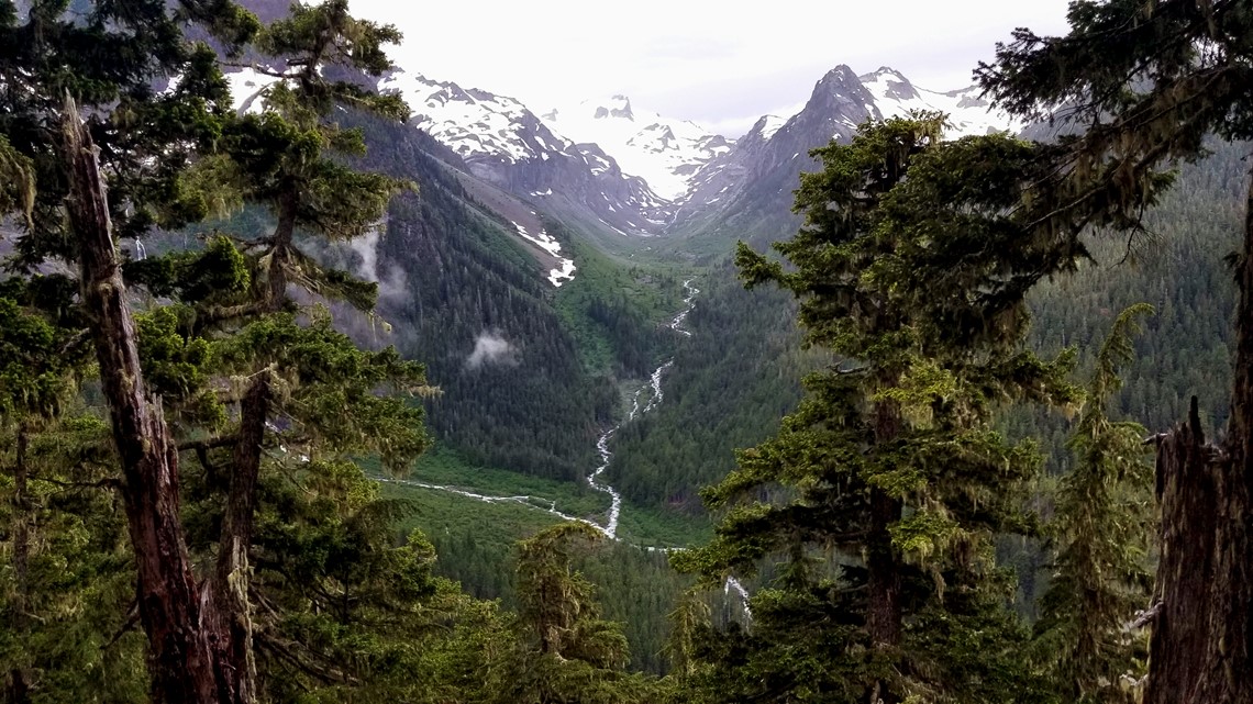 Hoh lake clearance trail