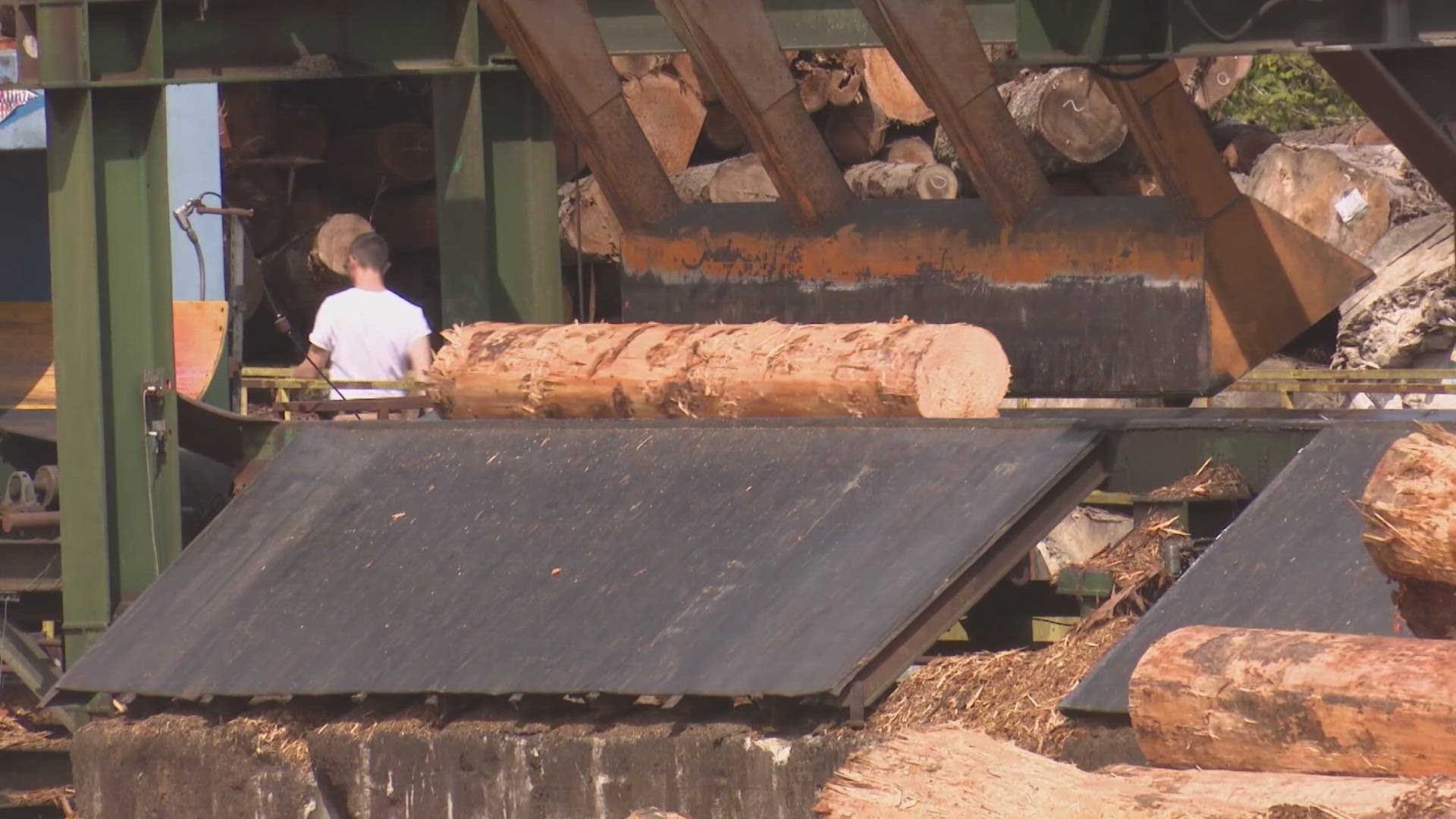 Logging has a lengthy history in the Pacific Northwest and local industry leaders say it’s taken decades to find a balance between economy and environment.