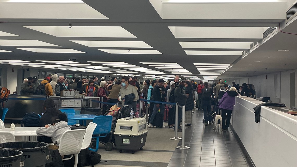 Sea-Tac sees cancelations, delays after Boeing 737-9 grounding - Vimarsana News