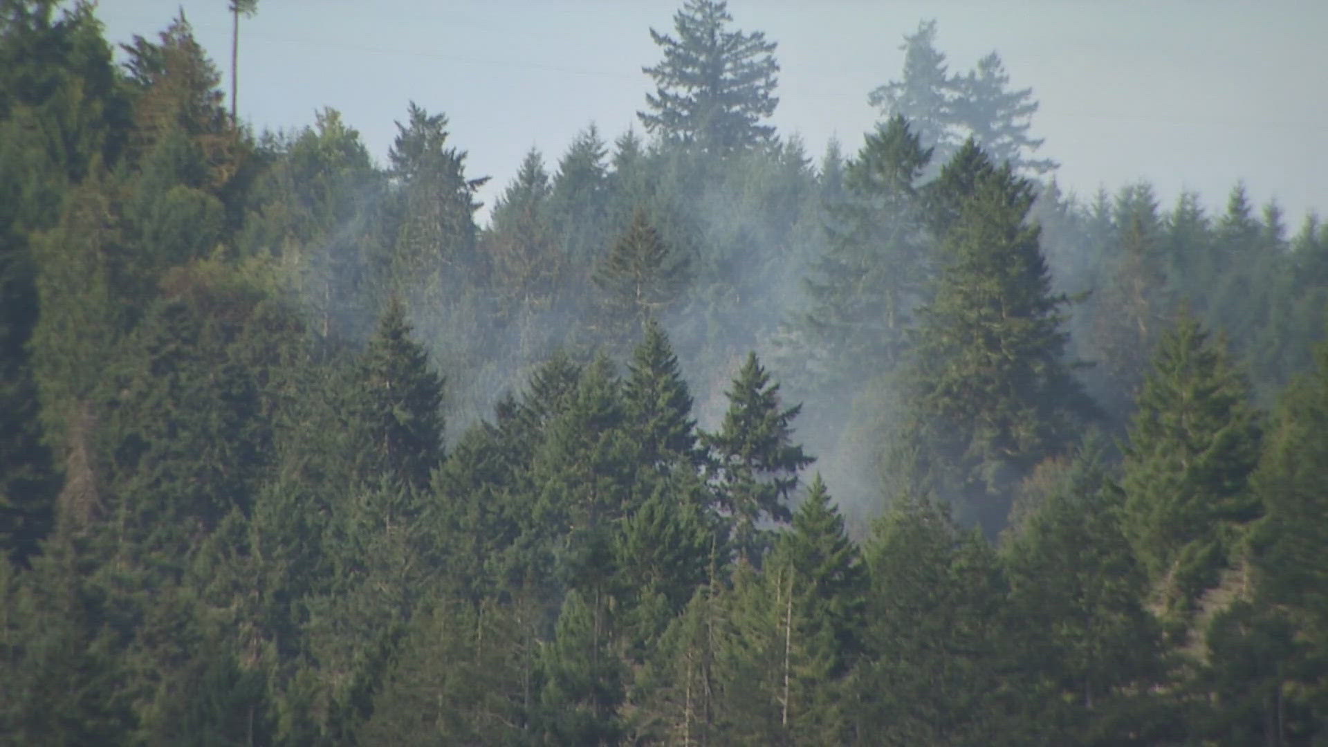 Two of the soldiers identified were originally from western Washington.