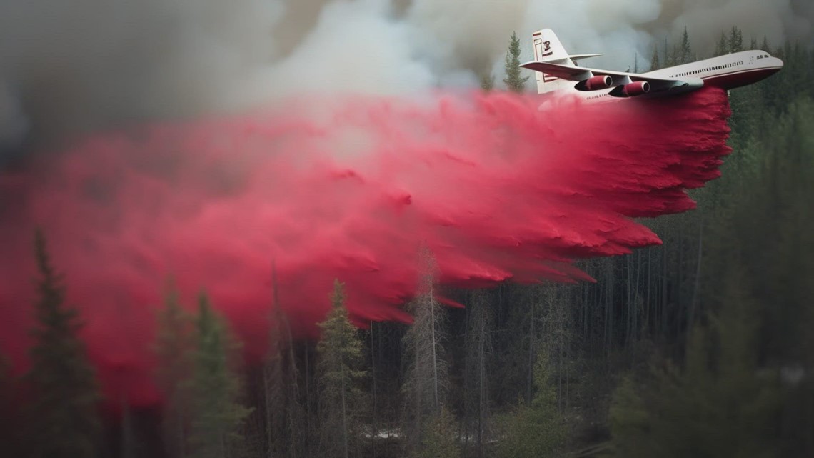Fire retardant kills thousands of salmon in the Pacific Northwest - Vimarsana News