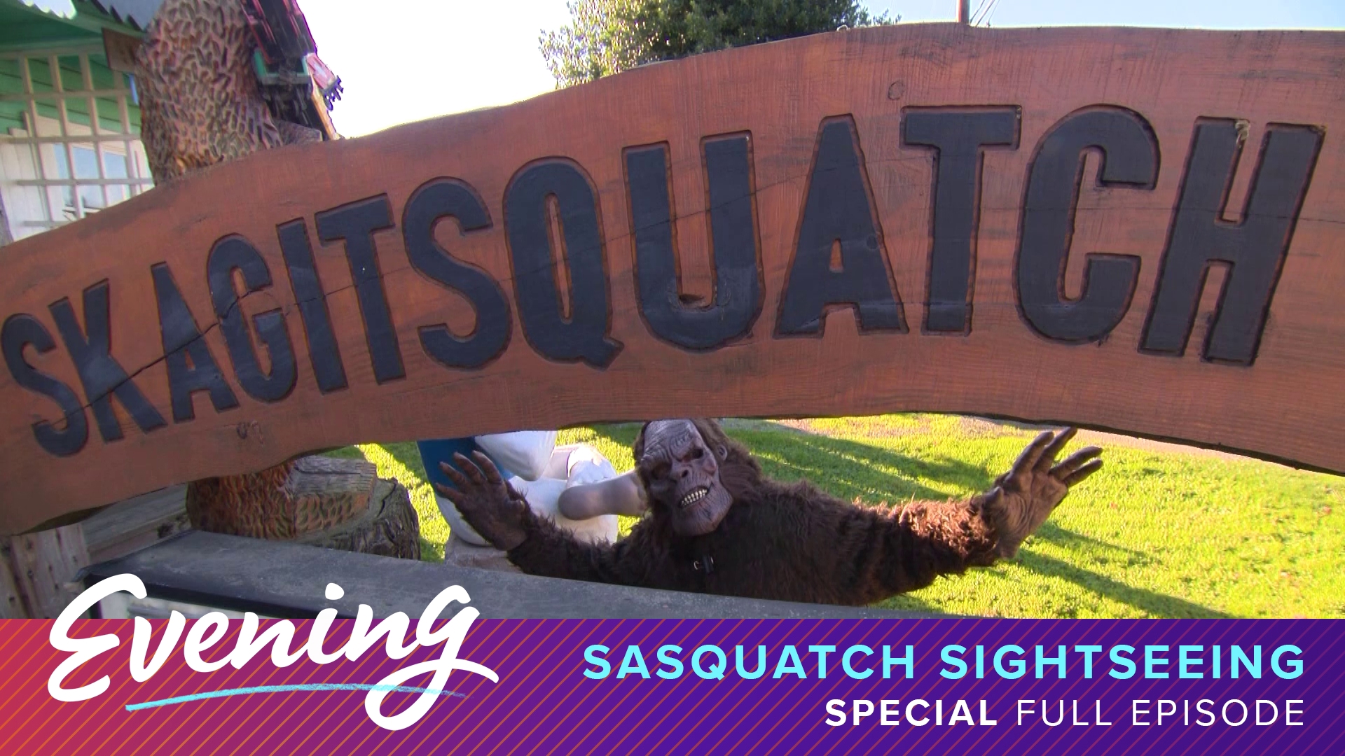 From the mountains to the city, here are the places where you're guaranteed to find sasquatches in the Pacific Northwest. #k5evening