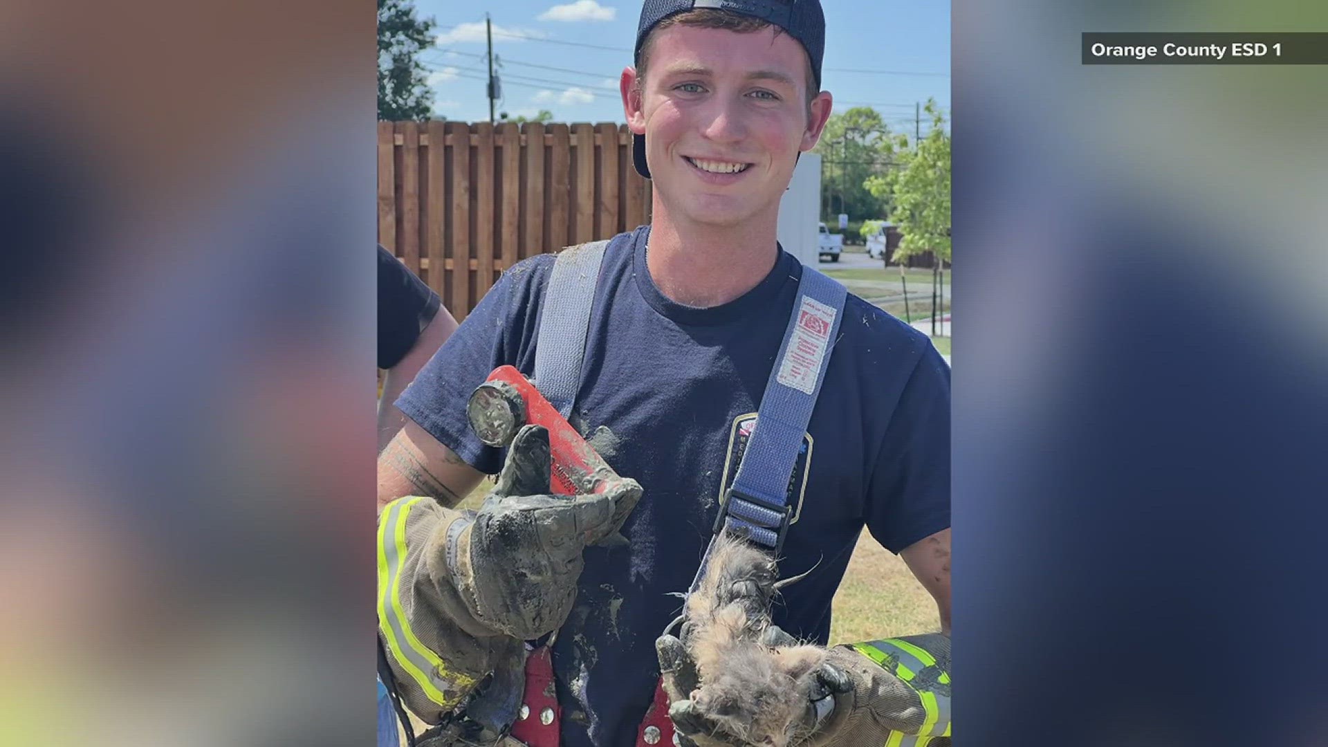 Hunter Weir tells 12News the kitten is now at Vidor Animal Control and a fellow firefighter has already asked to adopt the kitten once it is healthy again.