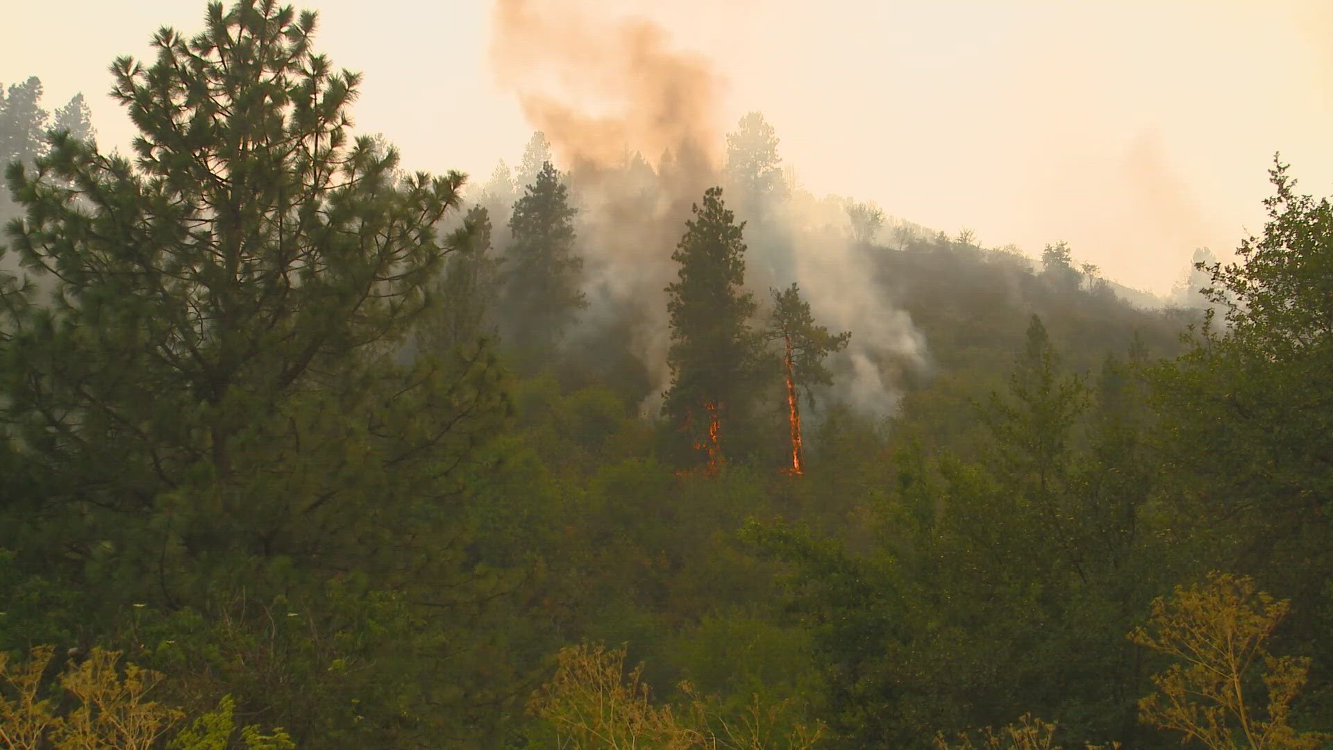 The Gwen Fire has grown to over 35,000 acres.