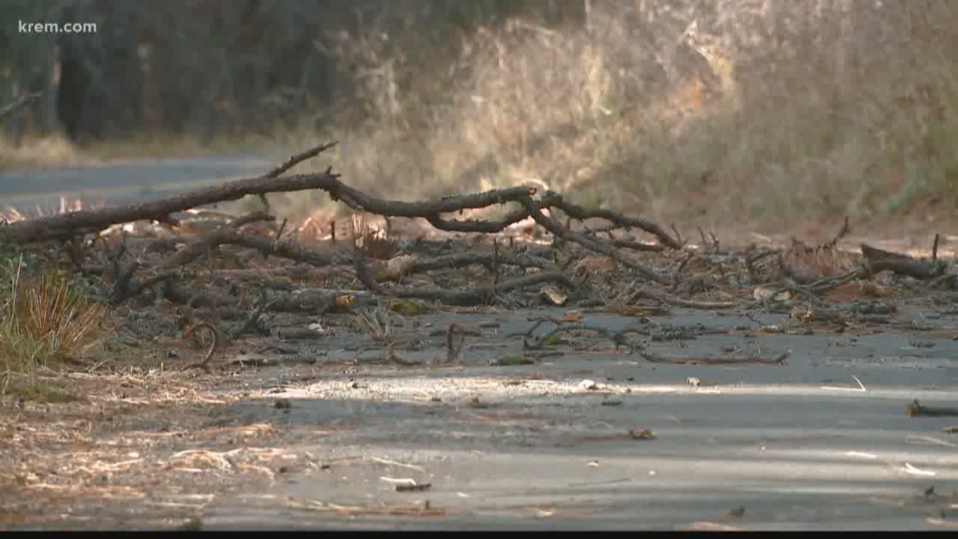 Crews are picking up trees after high winds hit the Sandpoint area on Wednesday.