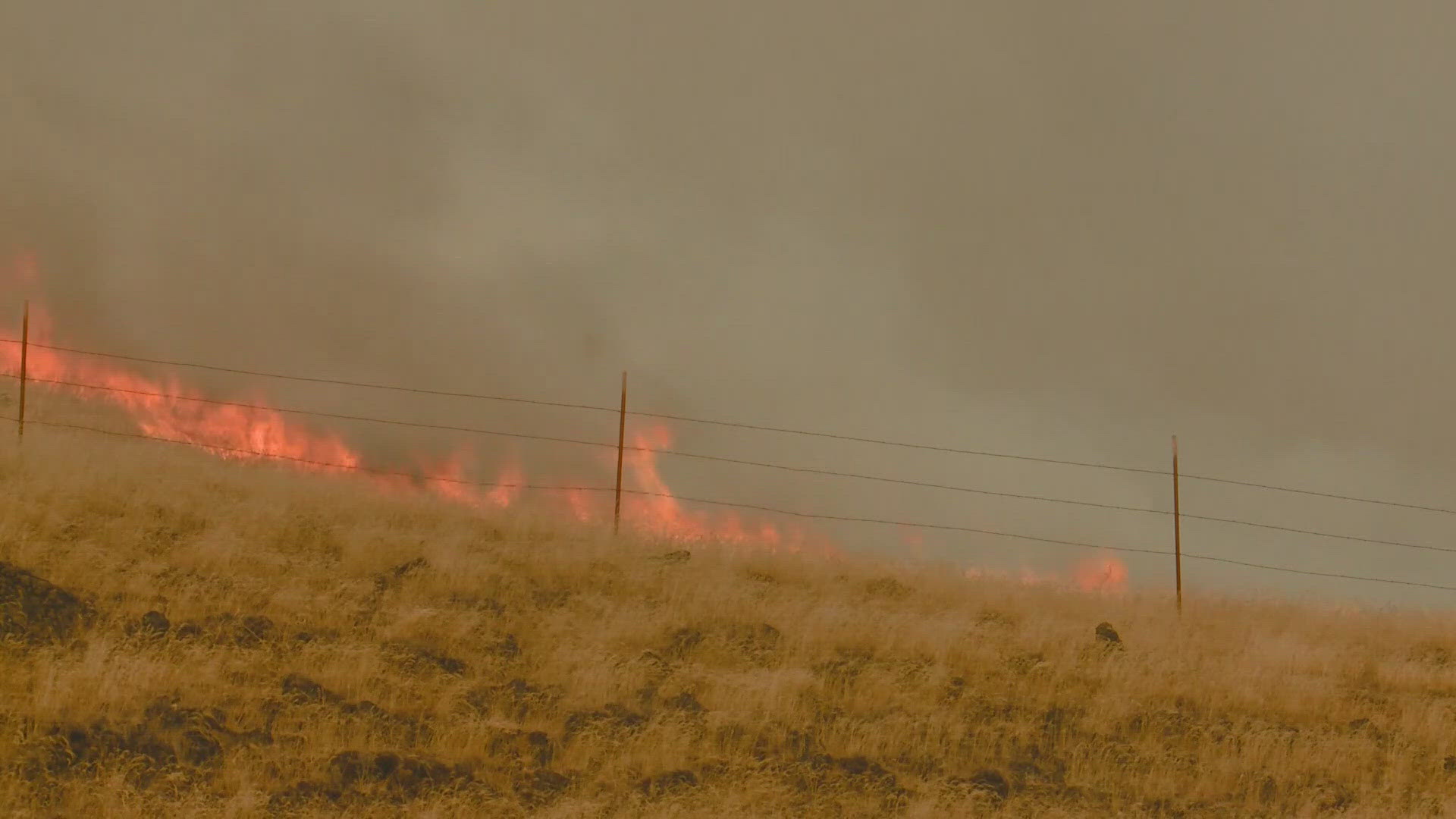 Gov. Little thanks those who fought Gwen, Texas Road wildfires | ktvb.com