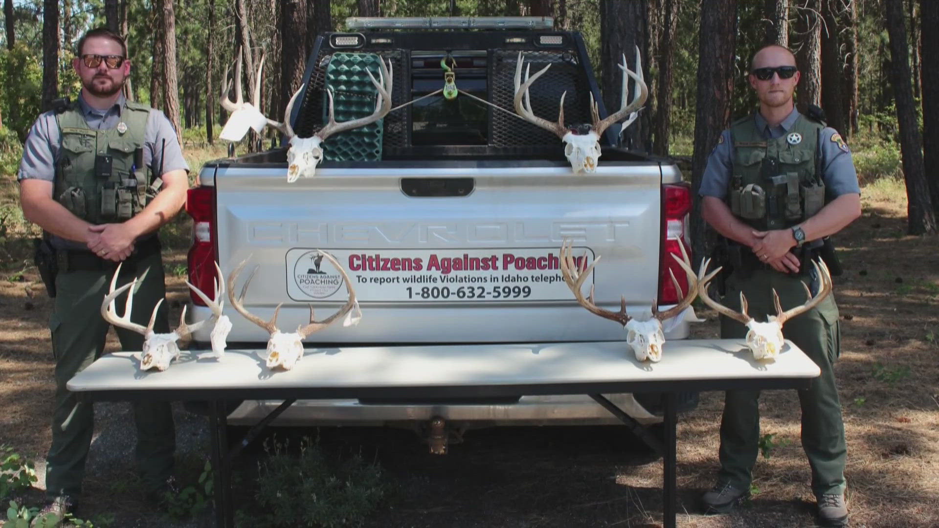 Authorities allege that the men killed seven deer in November 2024 — including five within a single 24-hour period during unlawful hours.