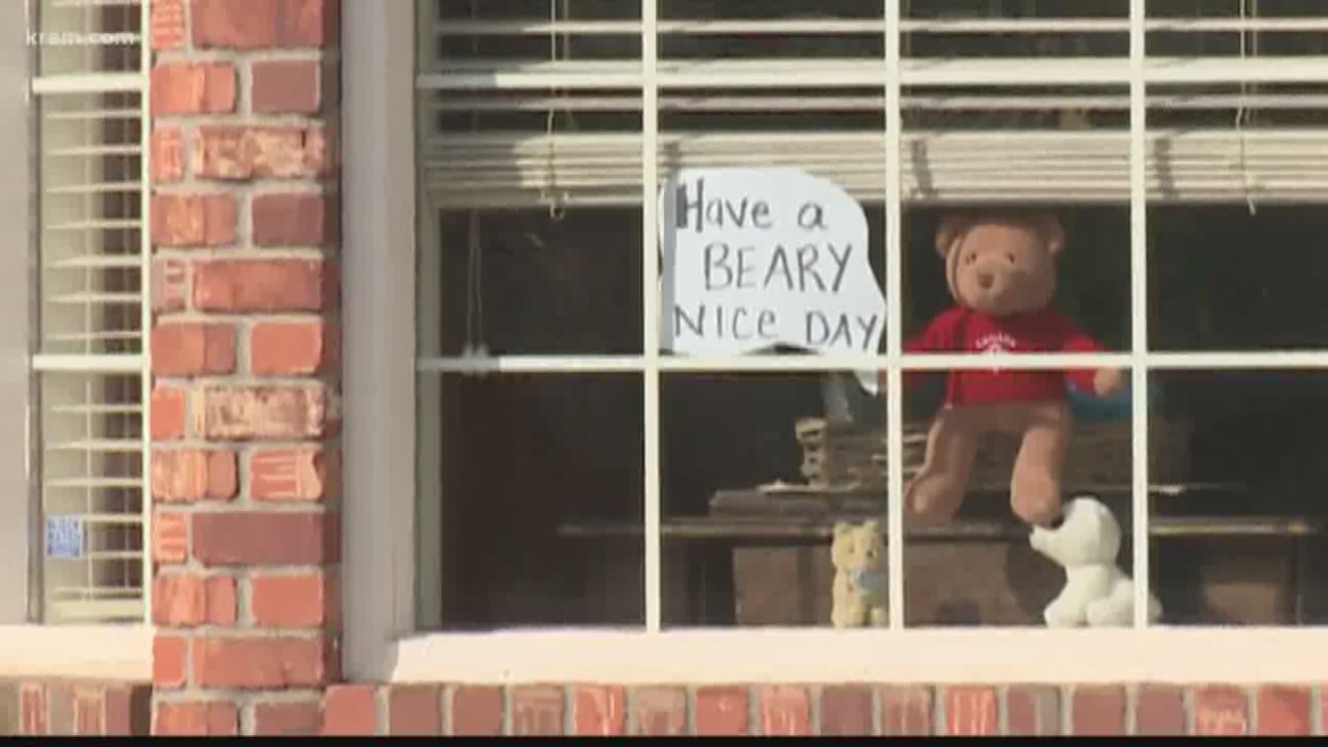"Going On A Bear Hunt:" neighbors using stuffed bears to help local kids find adventure
