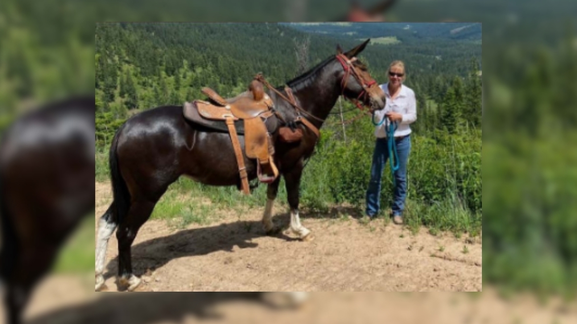 Kootenai County Sheriff's Office finds missing woman dead | ktvb.com