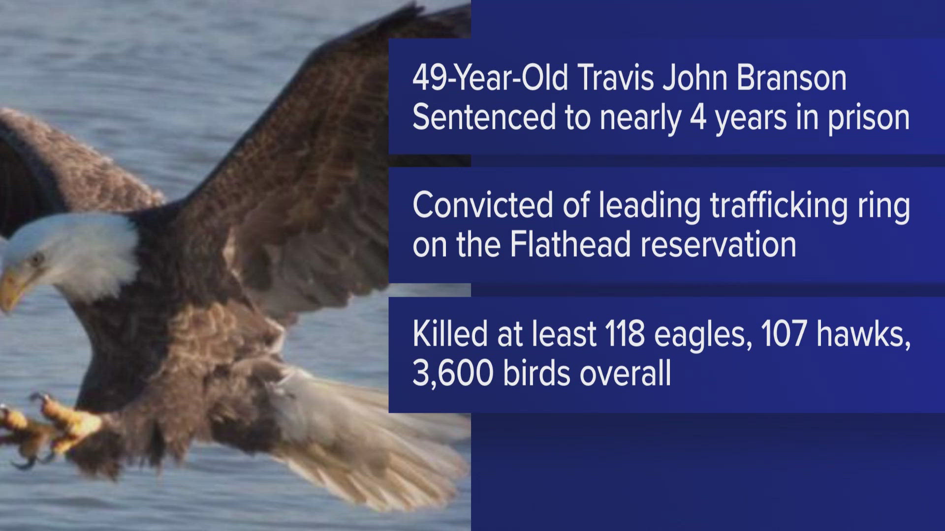 Man who killed eagles on a Native American reservation gets nearly 4 years in prison.