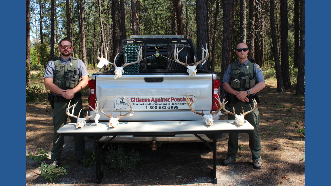 Saint Maries man sentenced for illegally killing seven deer in North Idaho 'poaching spree'