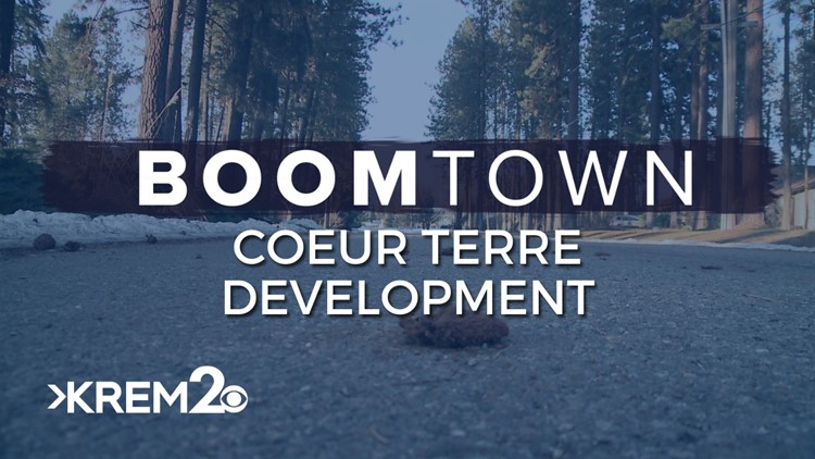 'Following the California playbook chapter and verse' | Residents react to Coeur Terre project as plans move forward
