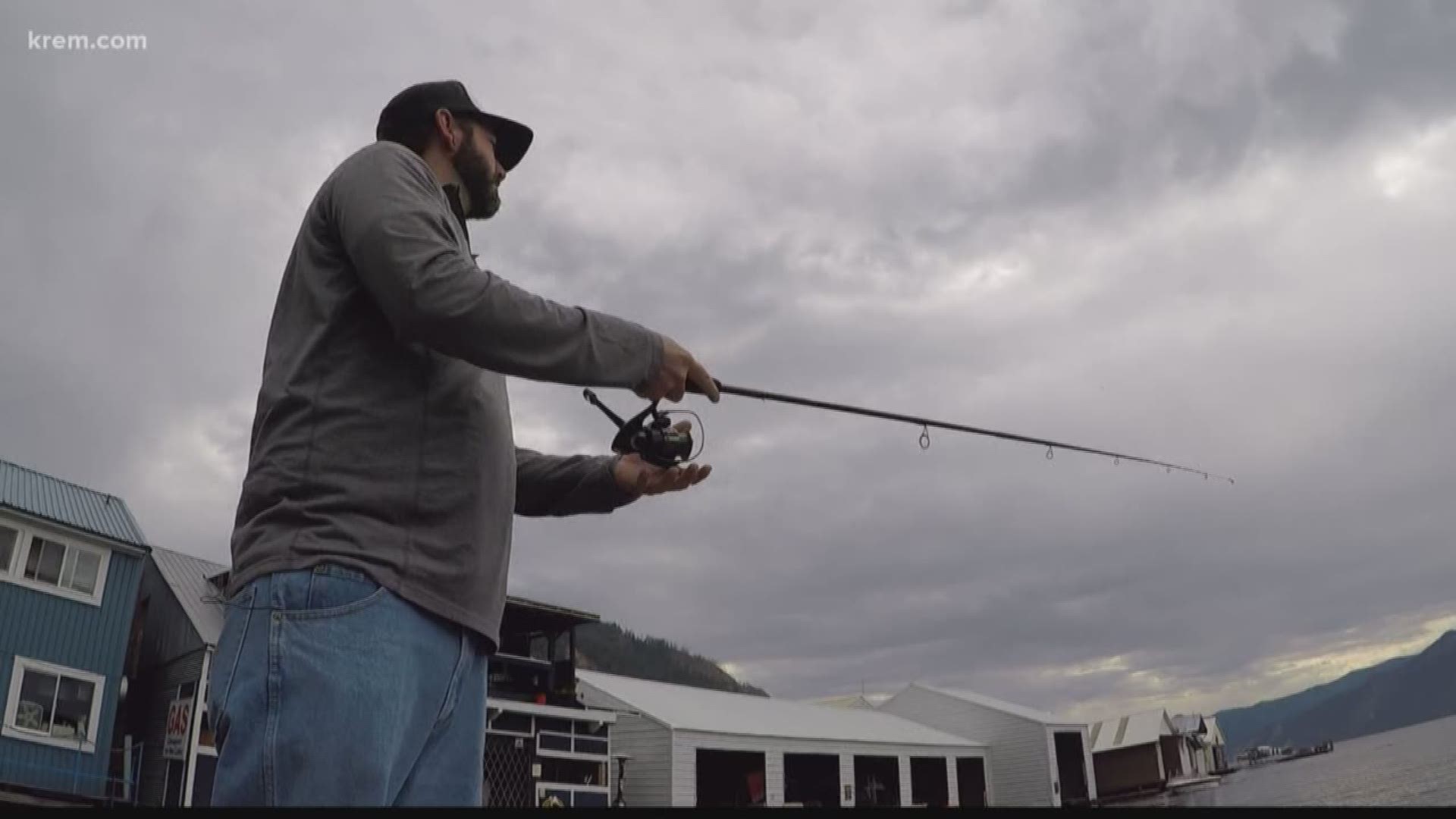 Anglers who catch and turn in the head of a tagged walleye fish will receive $1,000.