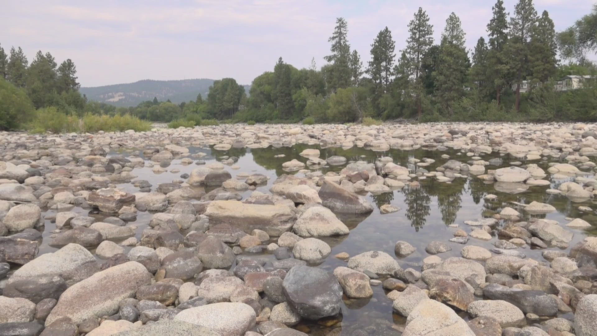 The Spokane Riverkeeper said in a press release that the dried-up sections of the river in the Spokane Valley threaten fish, wildlife and critical river habitats.