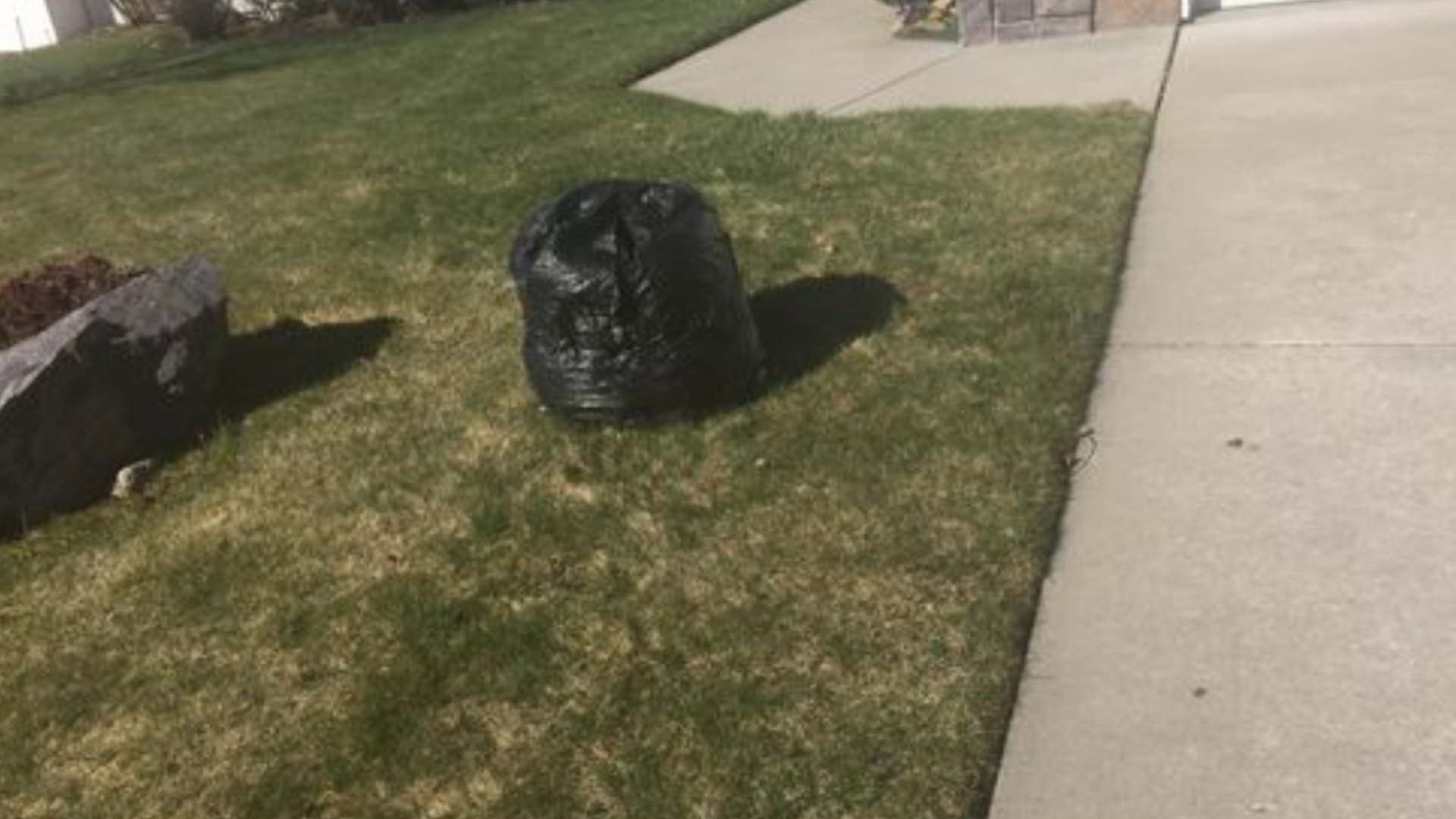 A Hayden woman woke up Wednesday to what she says was politically-motivated vandalism.