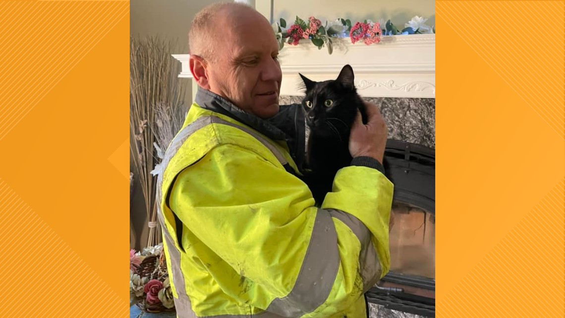 Idaho cat rescued from red fir after being stuck for two days | ktvb.com