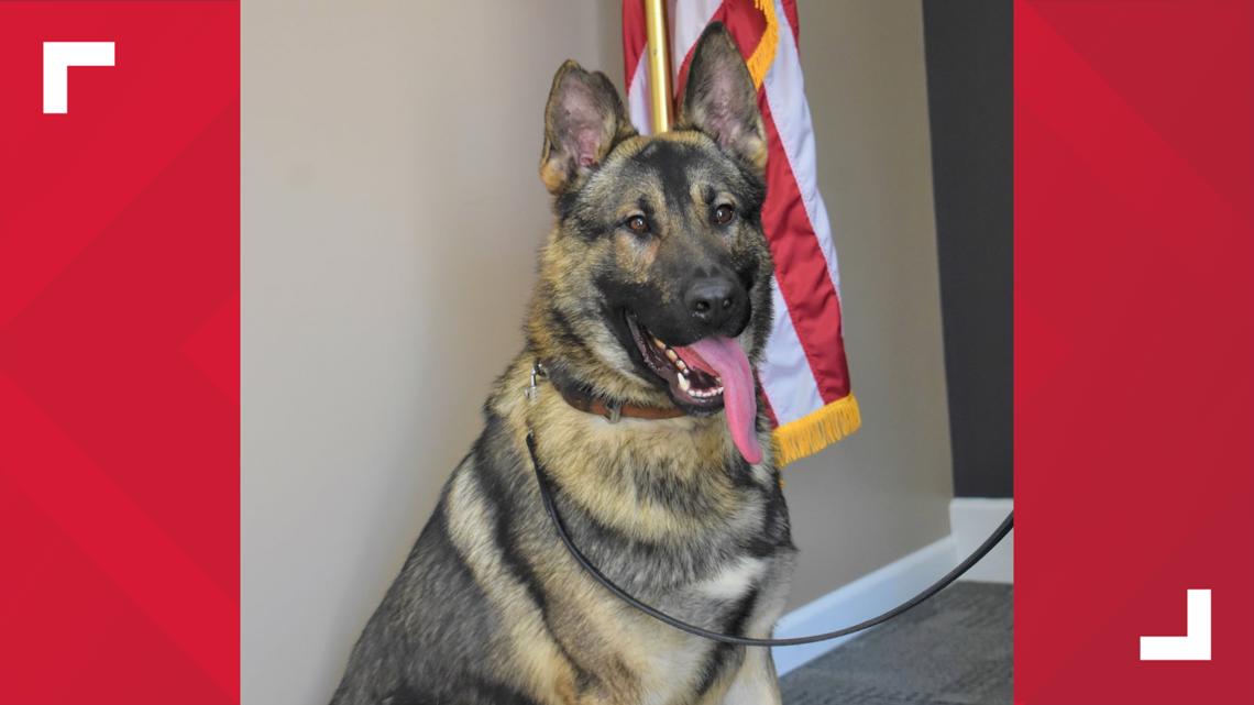 Missouri police dog dies in hot car | ktvb.com