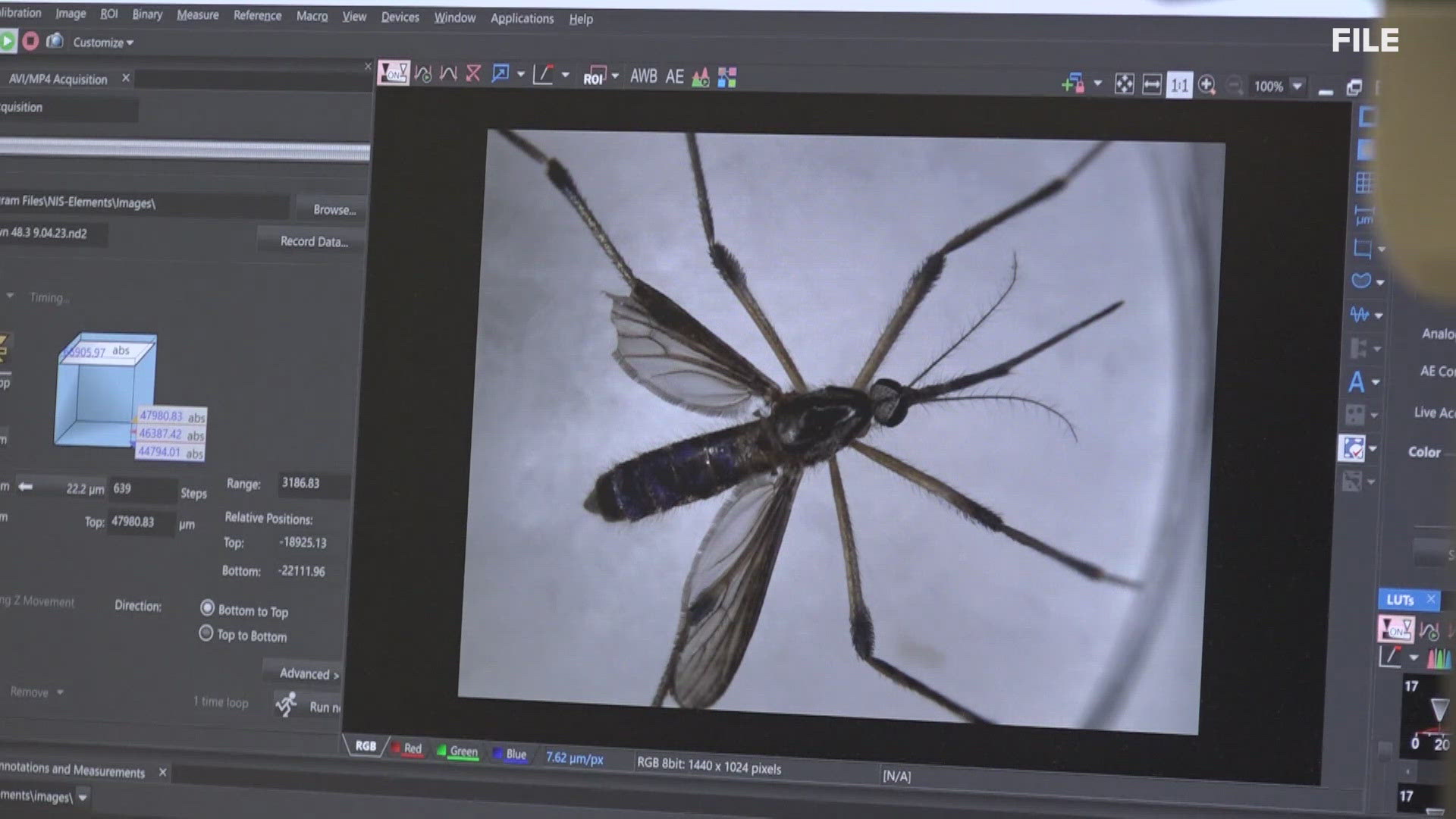 Three people have died and 15 have been hospitalized by West Nile Virus in Missouri as of Oct. 4, according to the Missouri Department of Health and Senior Services.