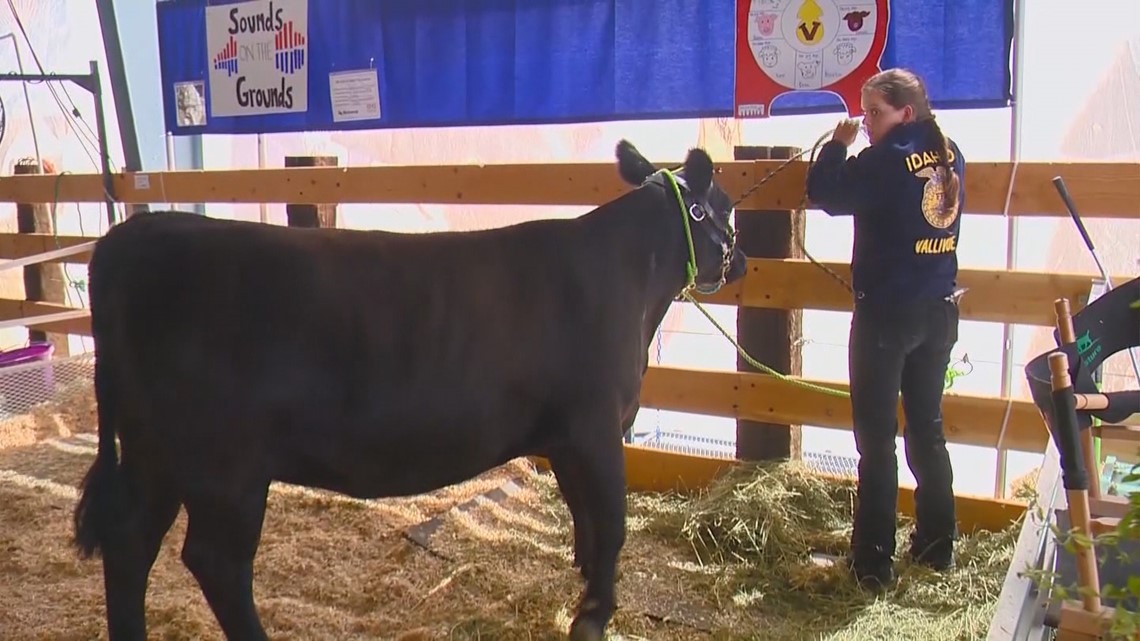 Canyon County Fair 2024 Caldwell Id Carlee Maryjo