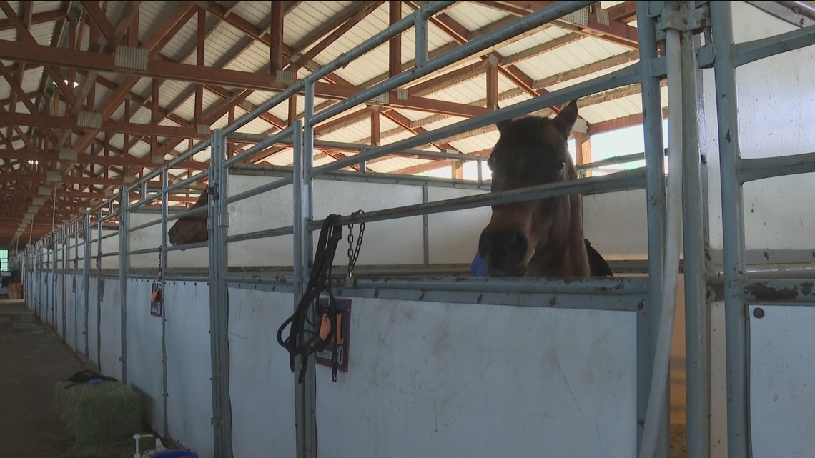 Skijoring debuts at Ford Idaho Center despite warm temperatures