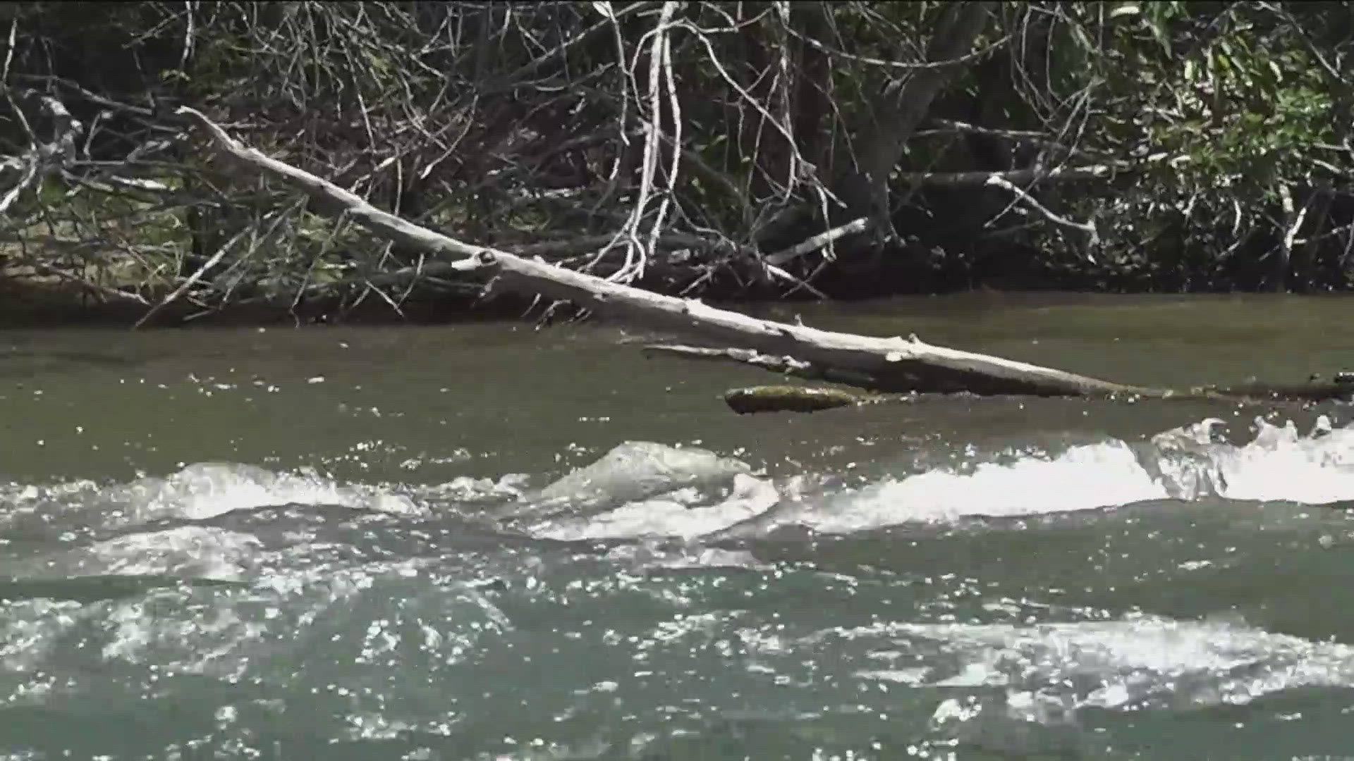 Clinton Bieschke of Phoenix, Arizona, was floating the river with friends when he drowned and had life-saving measures performed. 