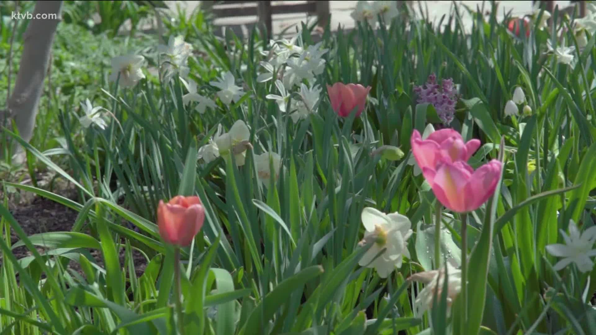 The garden was able to raise more than $182,000 to stay open during the coronavirus pandemic.